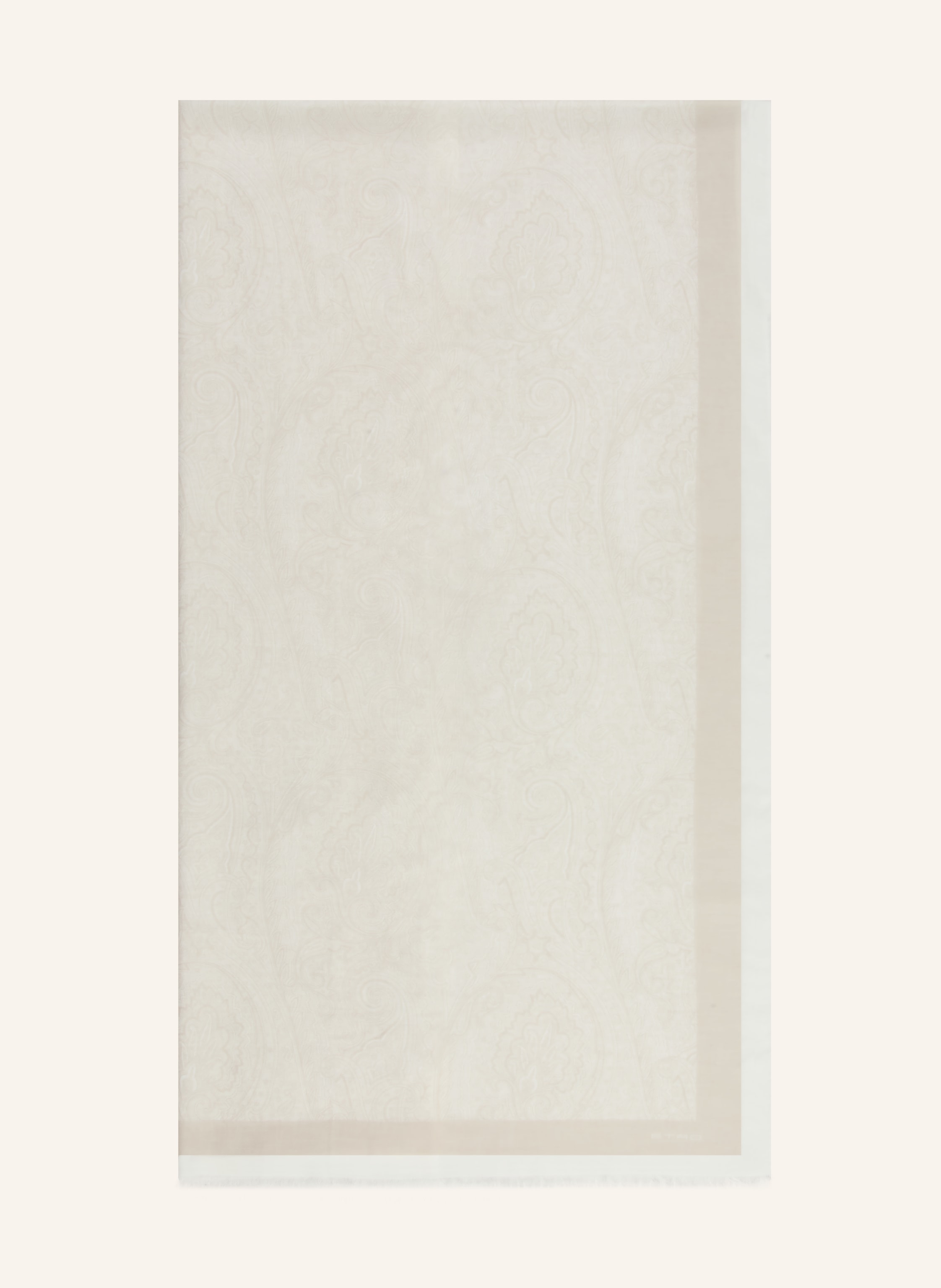 Etro Etro Schal weiss in BEIGE / CREME