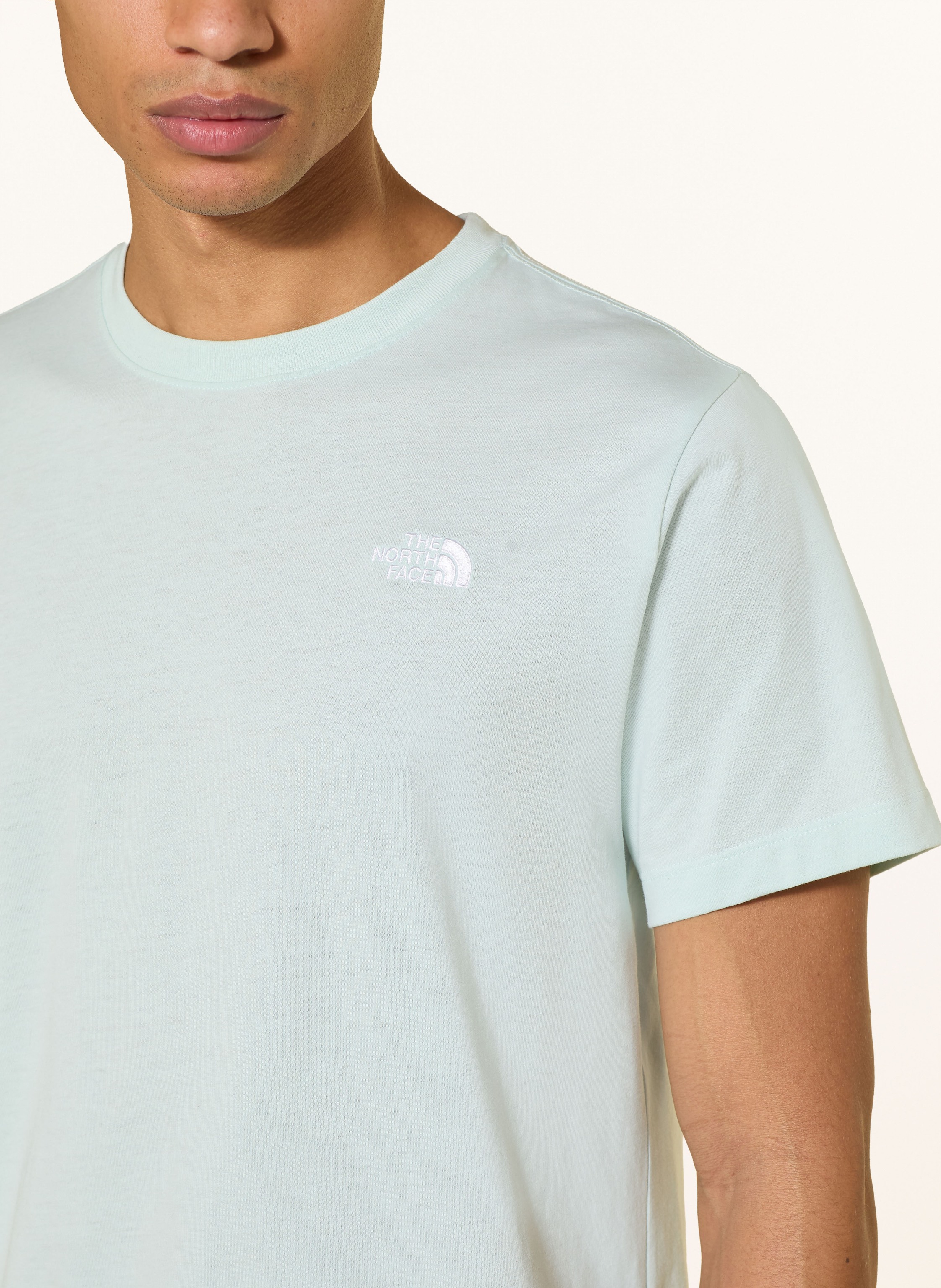 Thumbnail - The North Face T-Shirt Evolution Simple Dome gruen