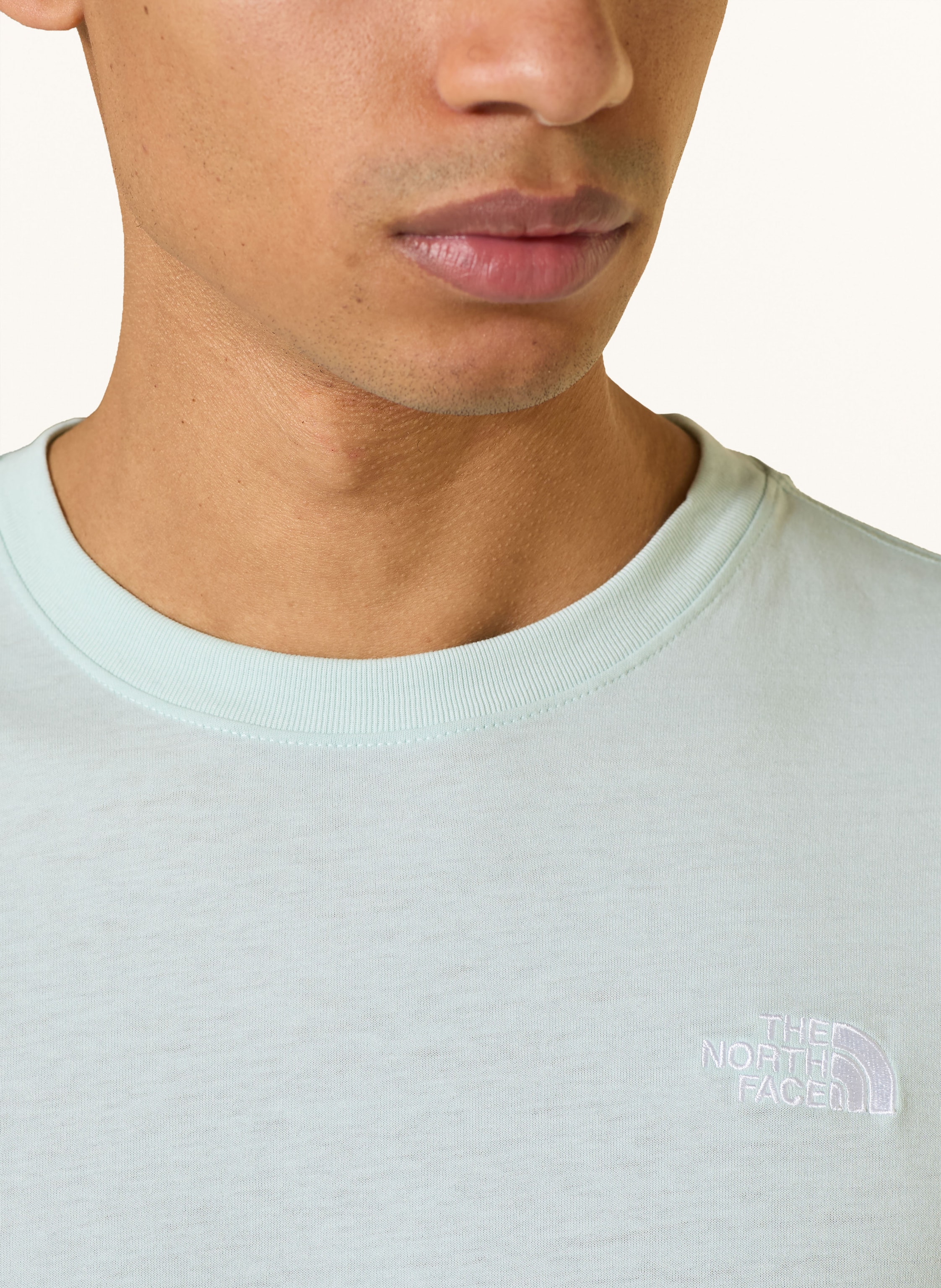 Thumbnail - The North Face T-Shirt Evolution Simple Dome gruen