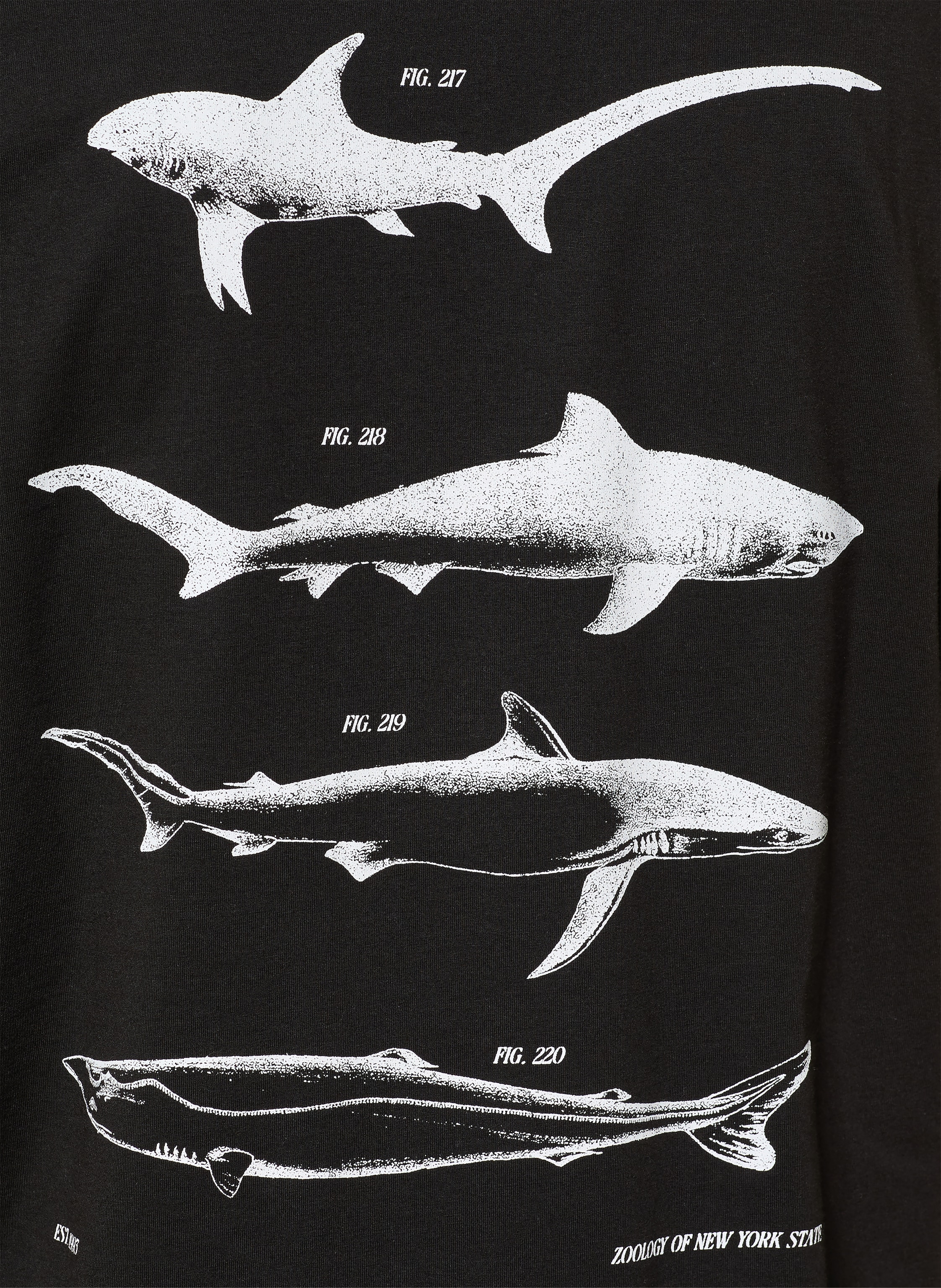 Thumbnail - Hugo T-Shirt Nofishix schwarz