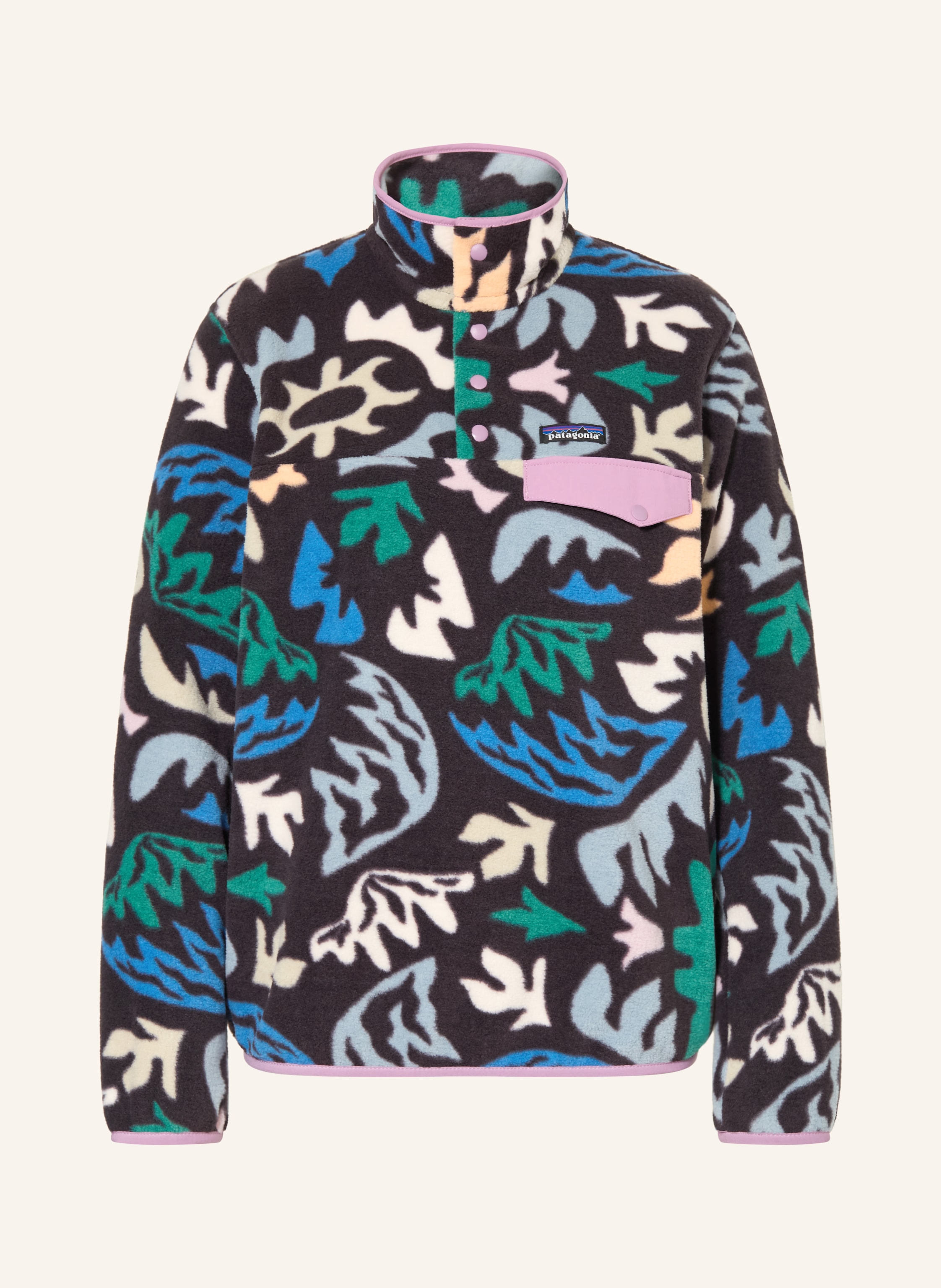 Patagonia Fleece-Troyer Snap schwarz