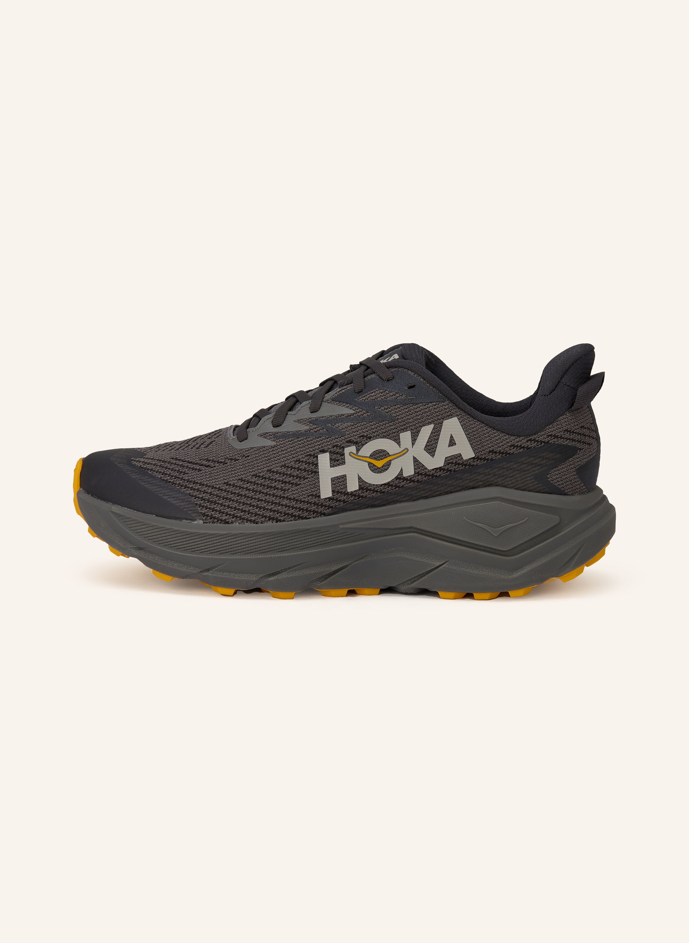 Thumbnail - Hoka Trailrunning-Schuhe Challenger 8 Gtx grau