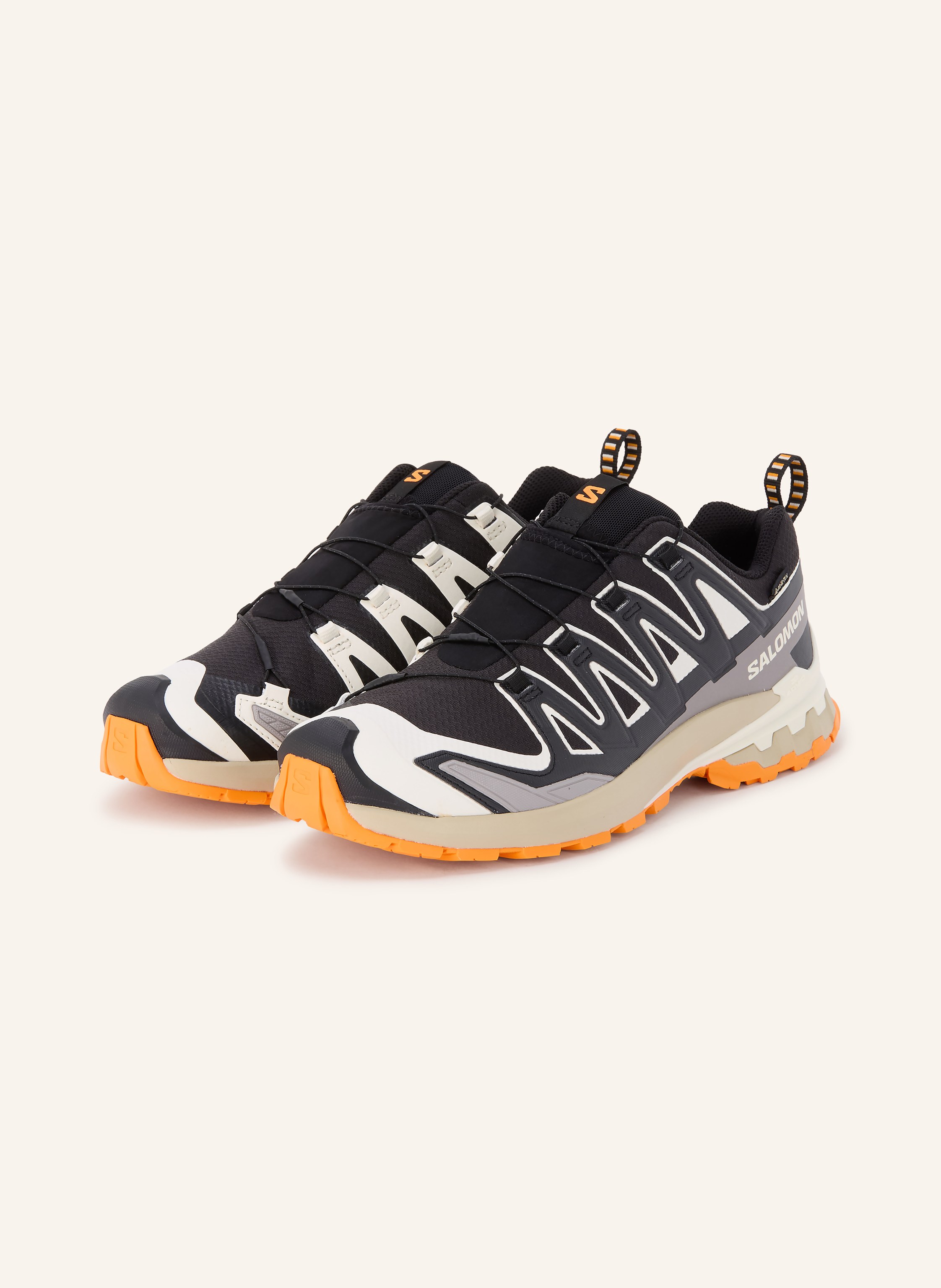 Salomon Wanderschuhe Xa Pro 3d v9 Gtx schwarz