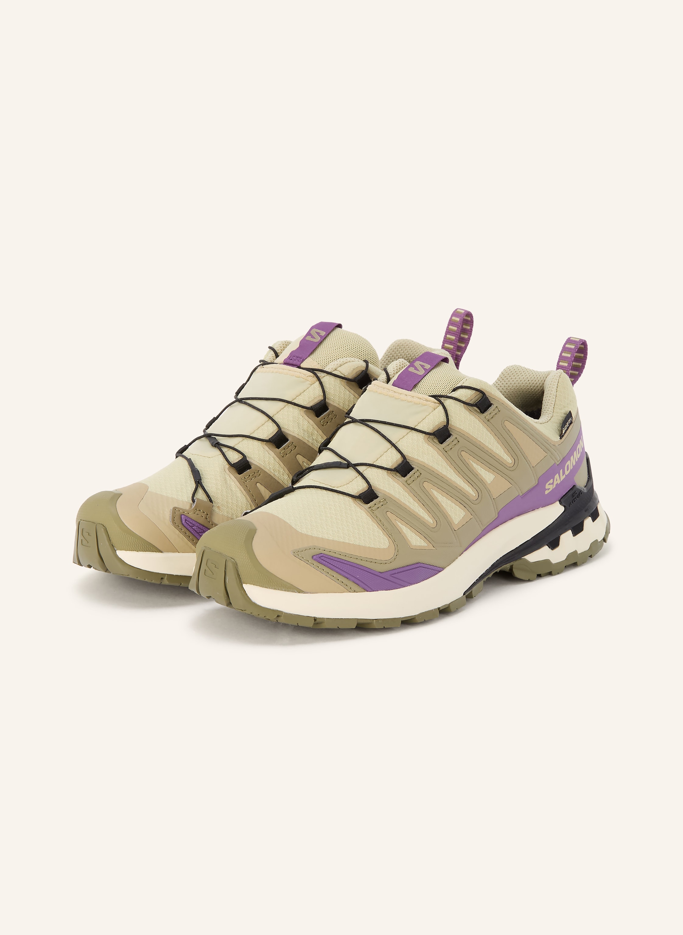 Salomon Wanderschuhe Xa Pro 3d v9 Gtx gruen