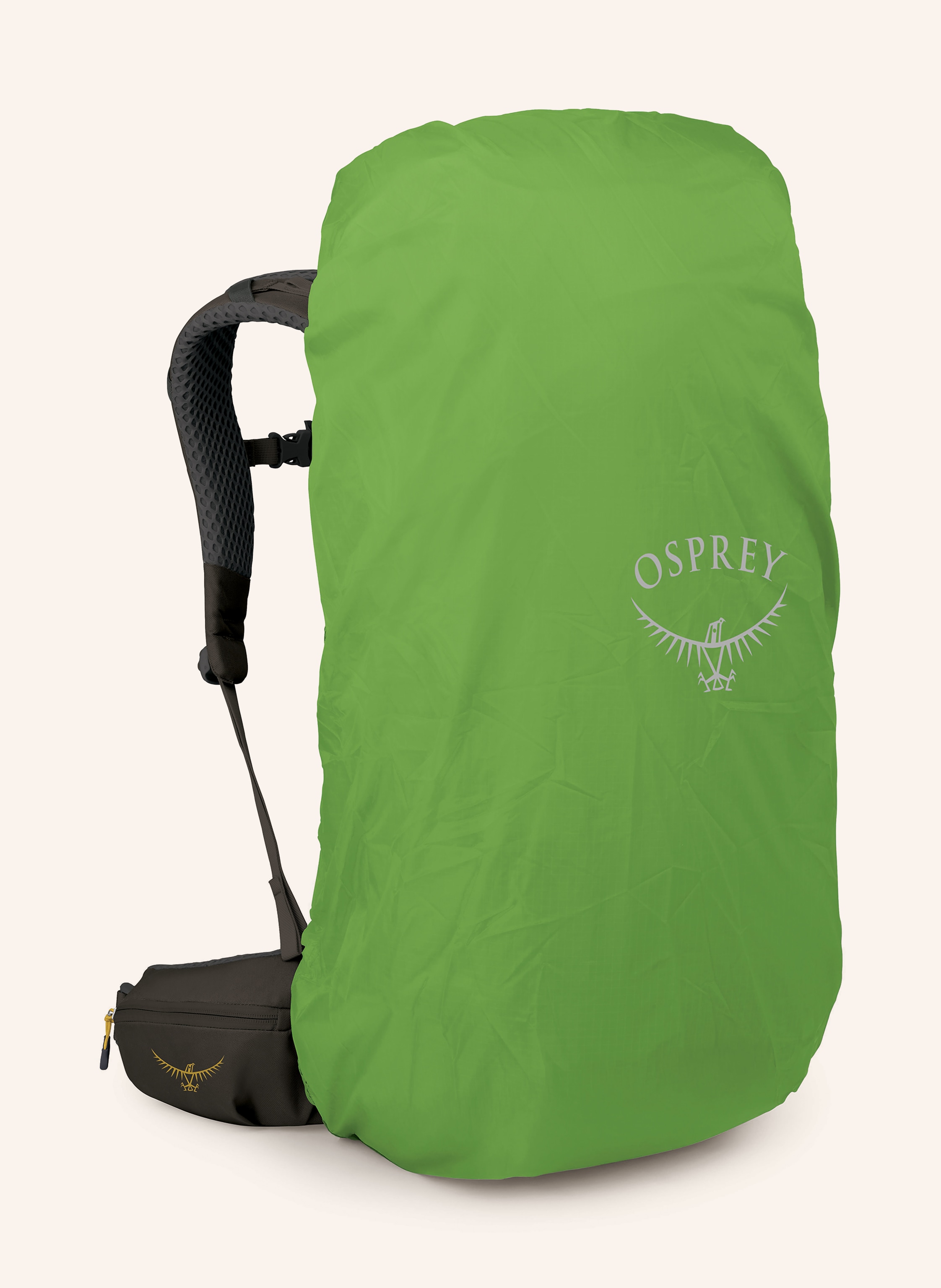 Thumbnail - Osprey Rucksack Kestrell™ Lt 45 45 L gruen