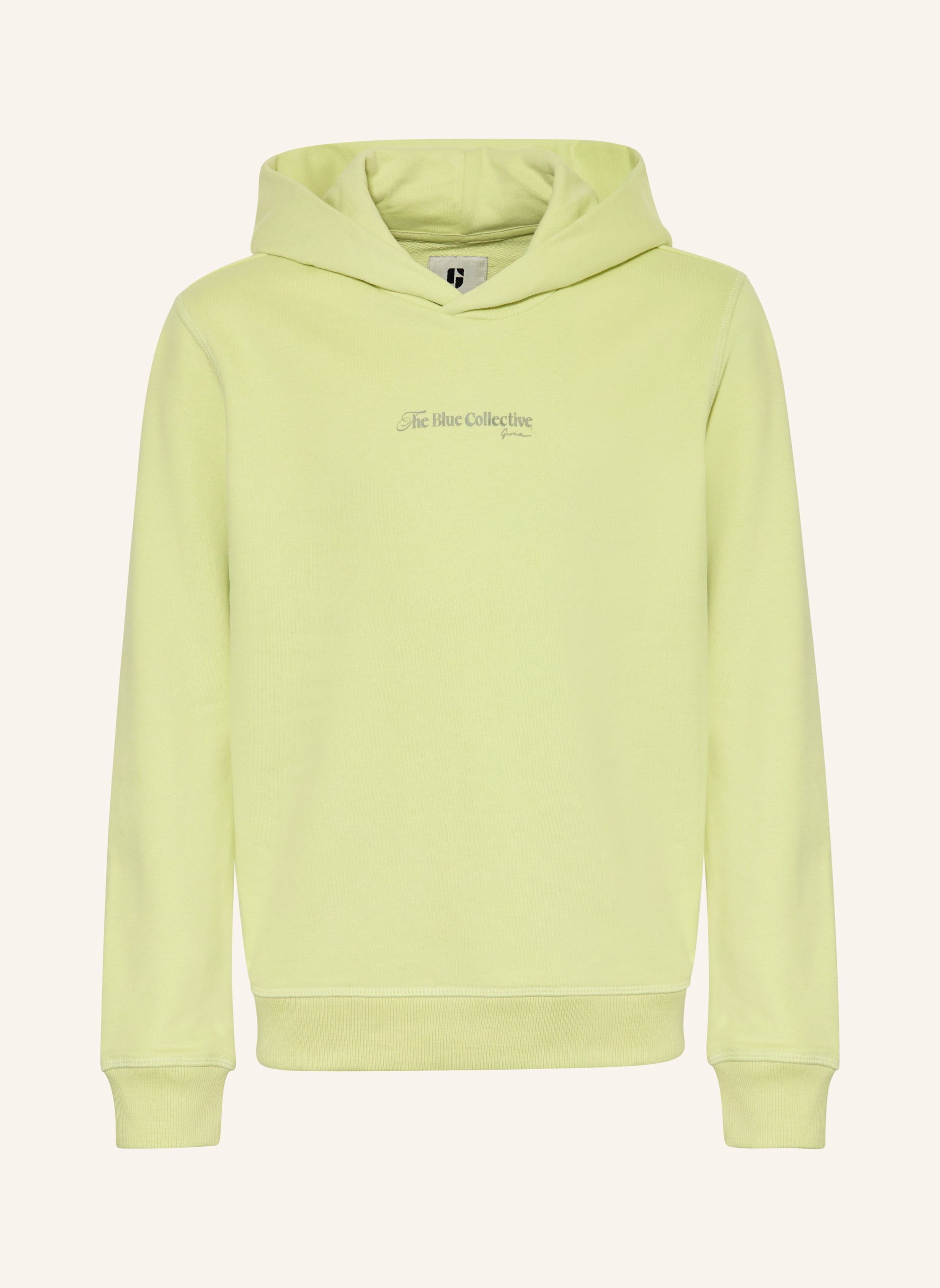 Garcia Hoodie gruen