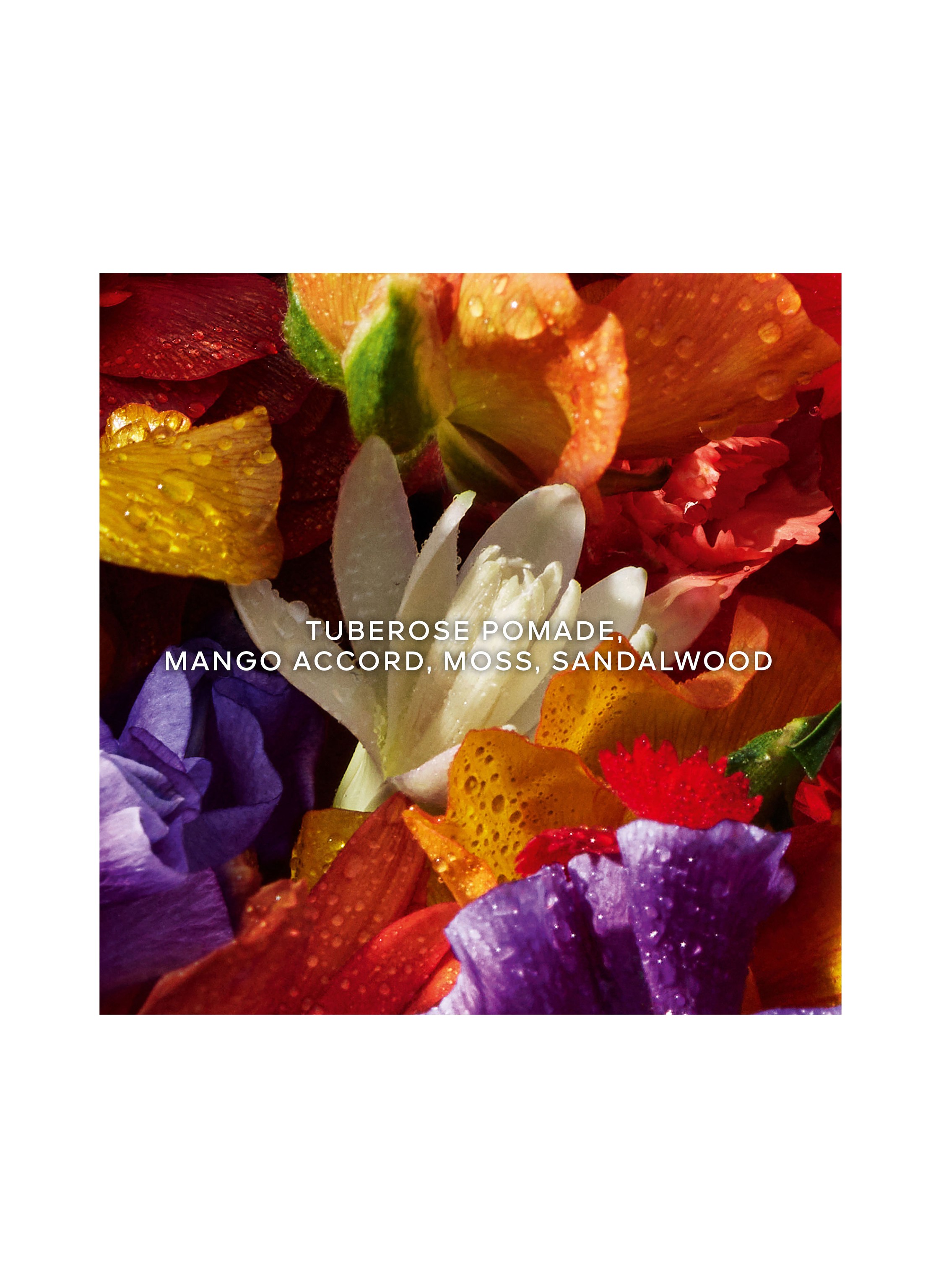 Thumbnail - Guerlain Aqua Allegoria Forte Florabloom Duft-Set