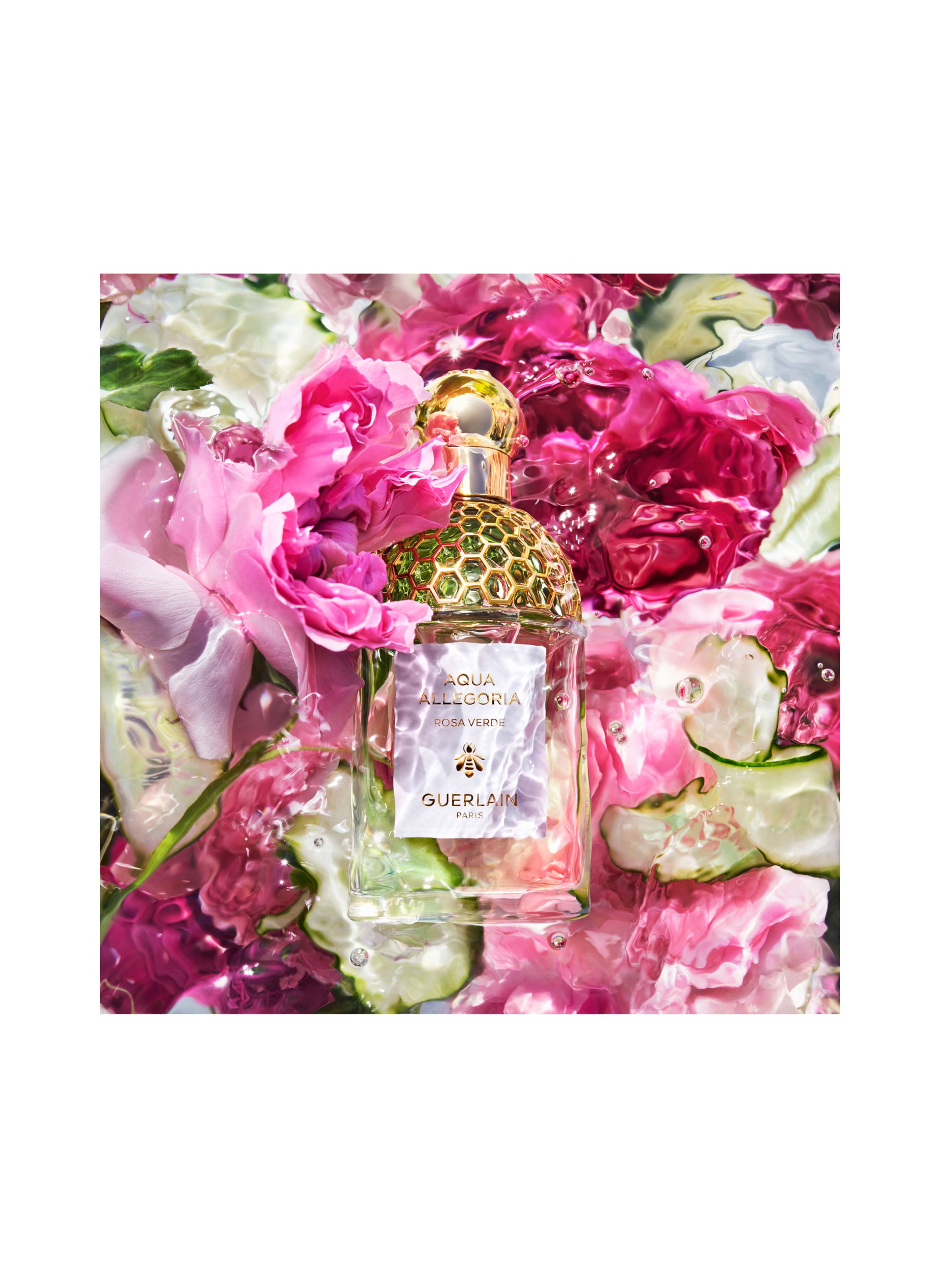 Thumbnail - Guerlain Aqua Allegoria Rosa Verde Duft-Set