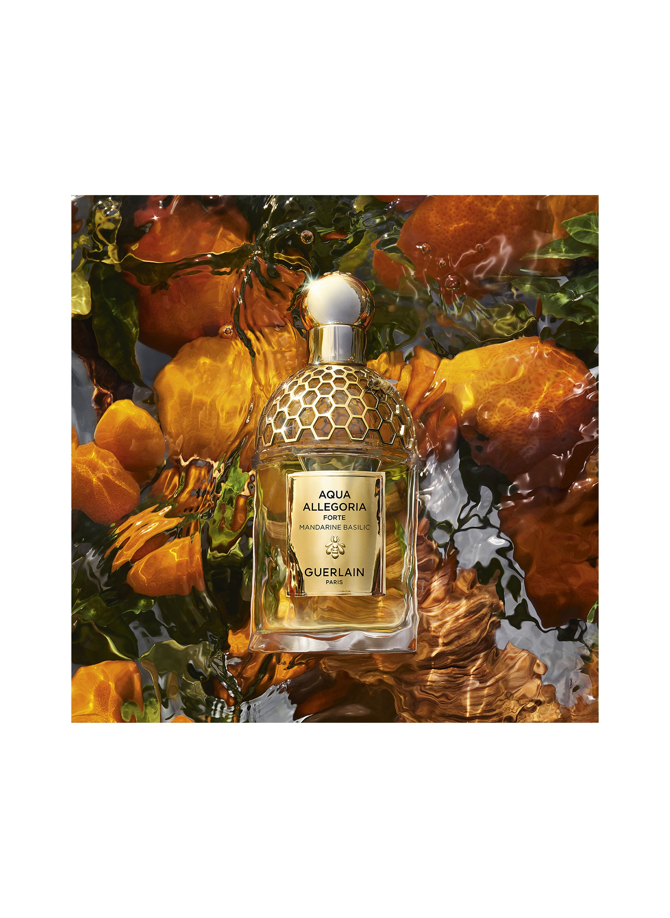 Thumbnail - Guerlain Aqua Allegoria Mandarine Basilic Duft-Set