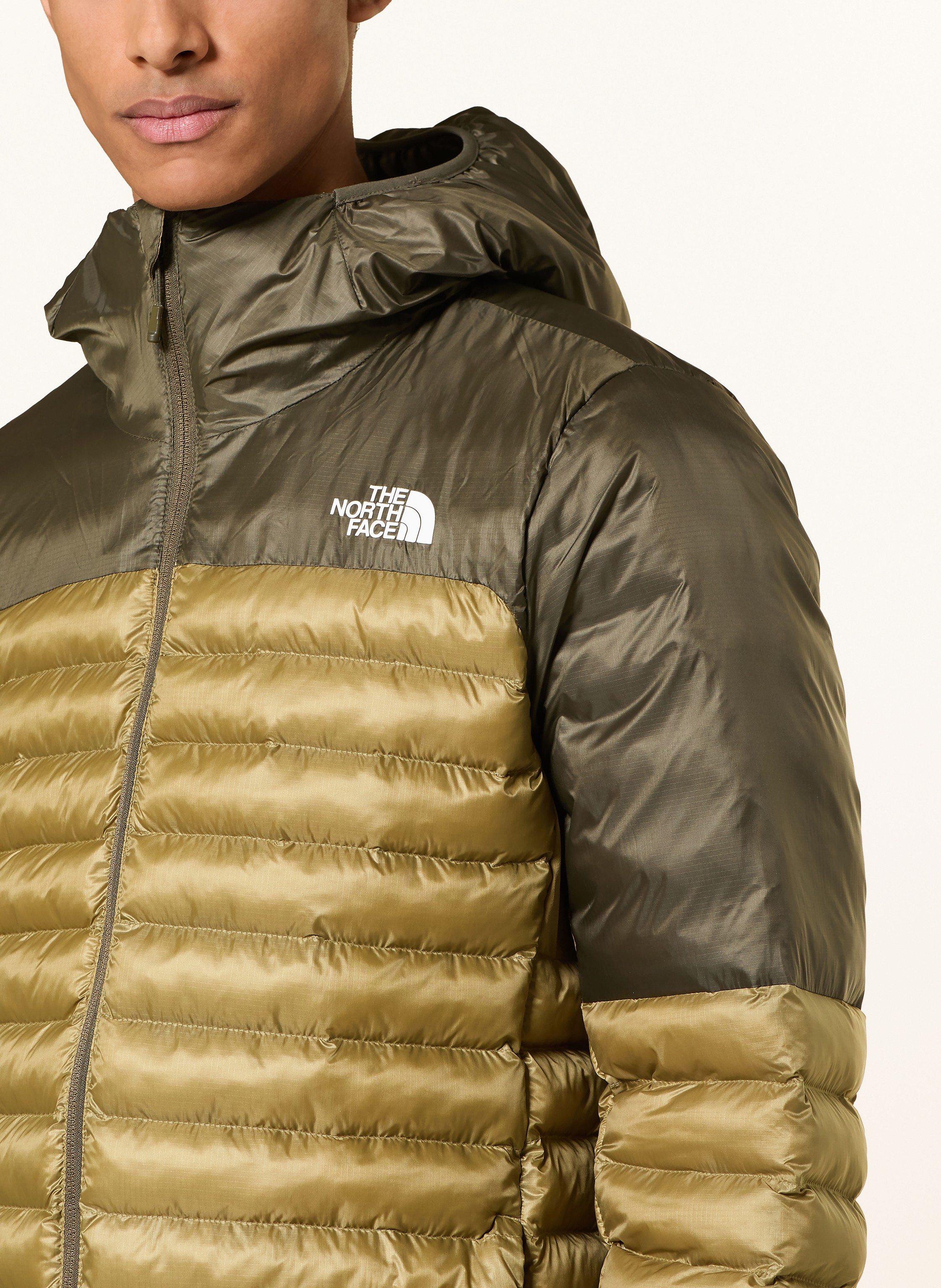 Thumbnail - The North Face Steppjacke Terra Peak Hoodie gruen
