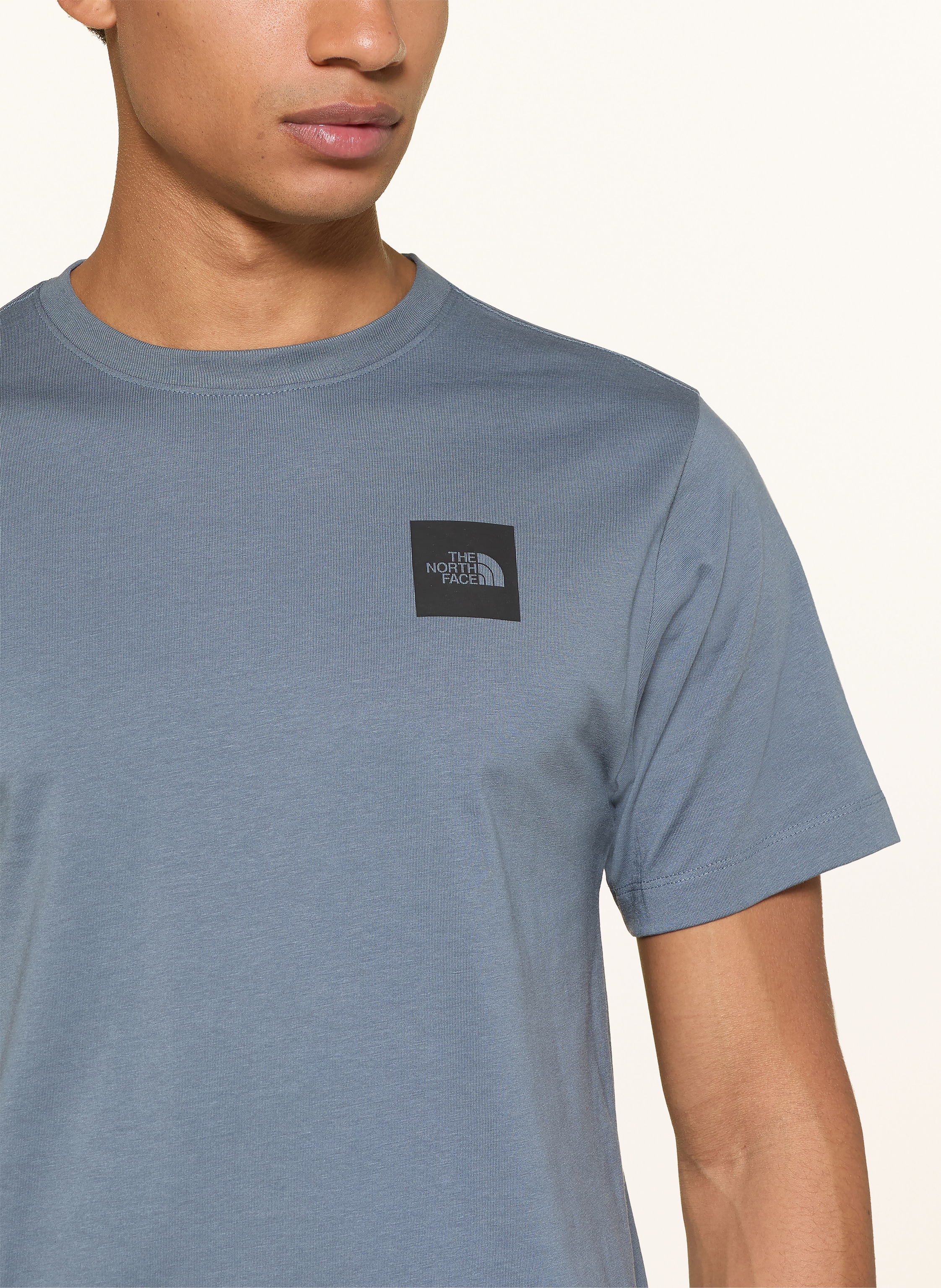 Thumbnail - The North Face T-Shirt Evolution Box Half Dome grau