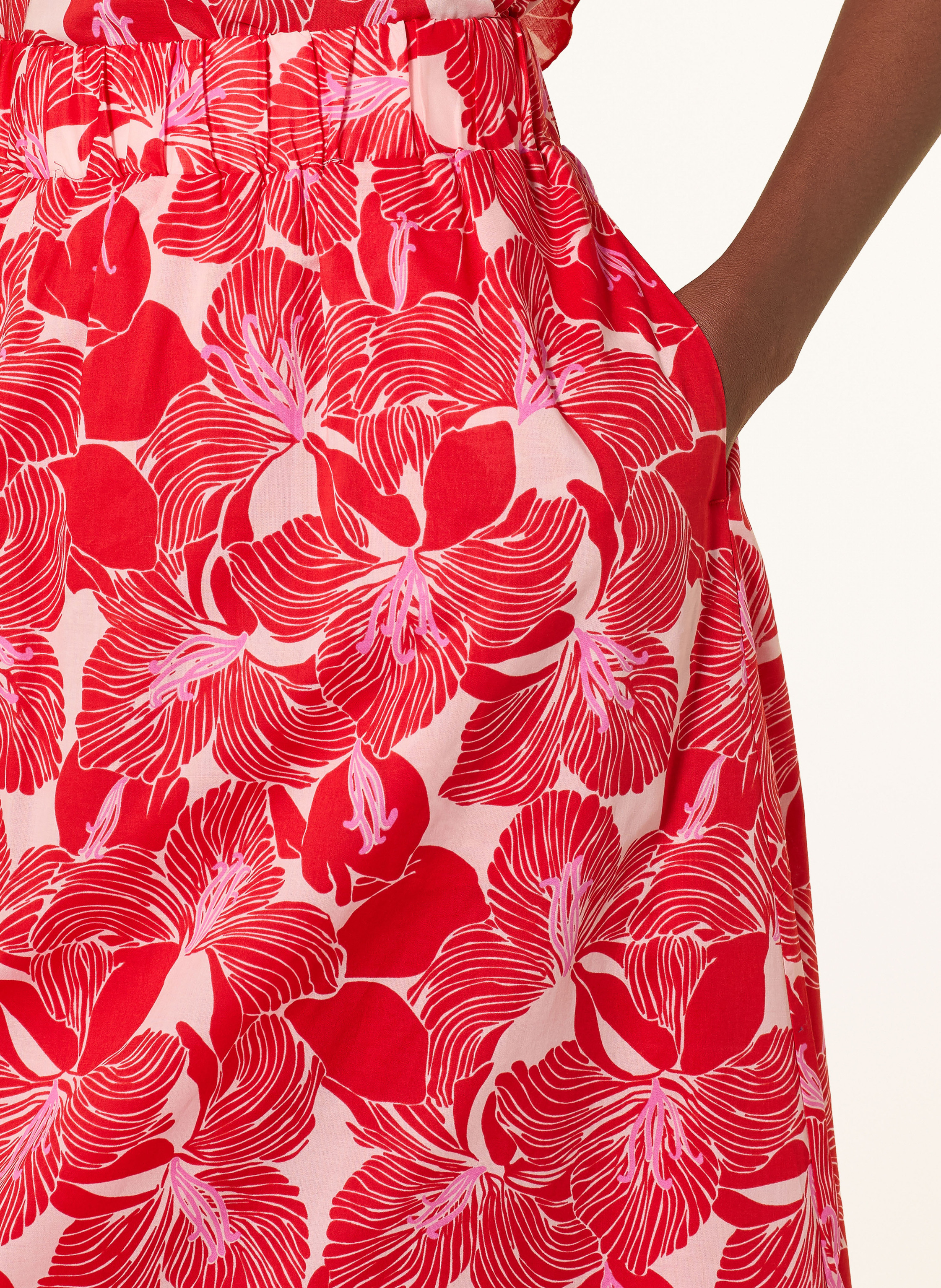 Thumbnail - Lanius Rock rot