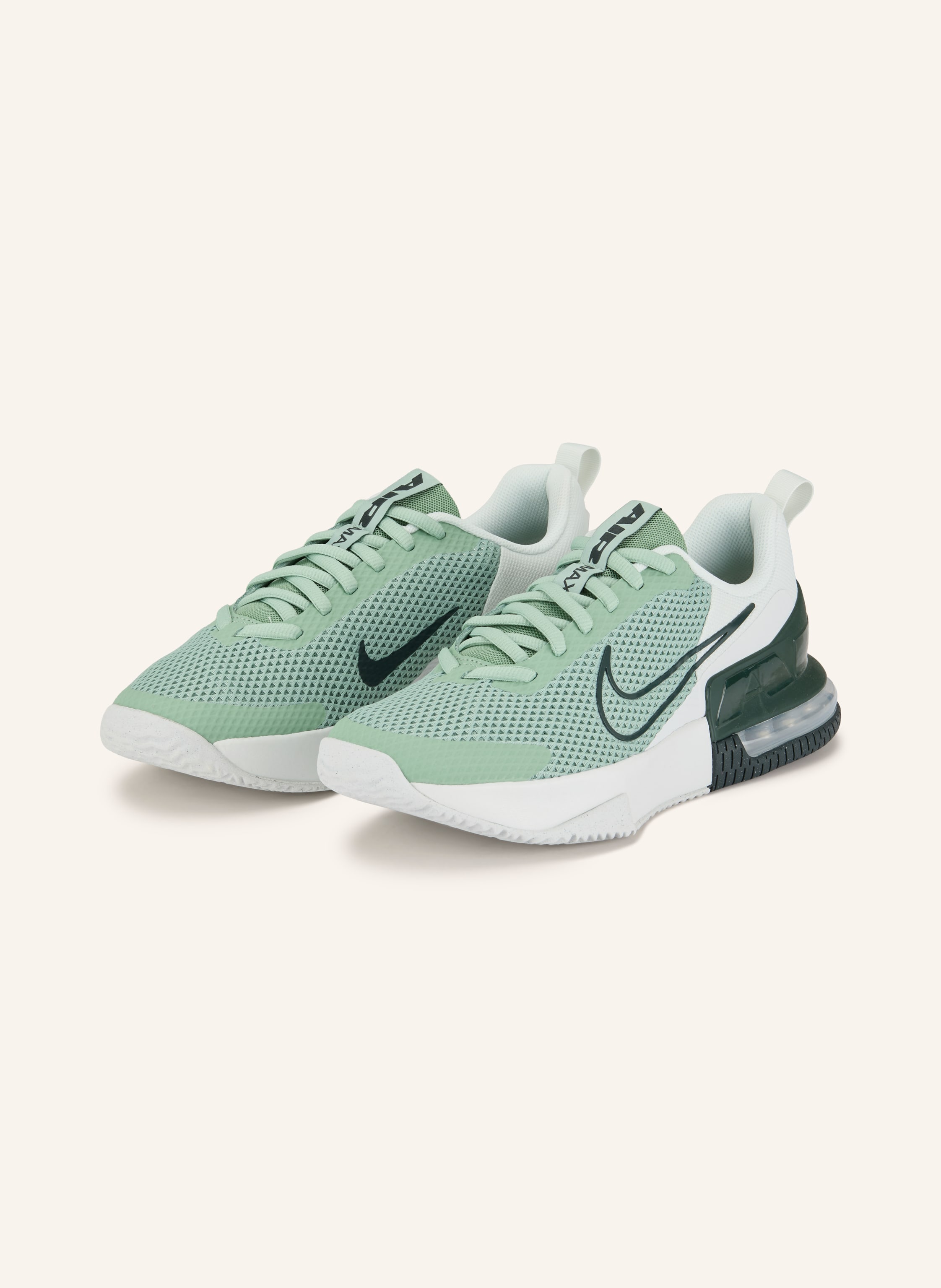 Nike Fitnessschuhe Air Max Alpha Trainer 6 gruen