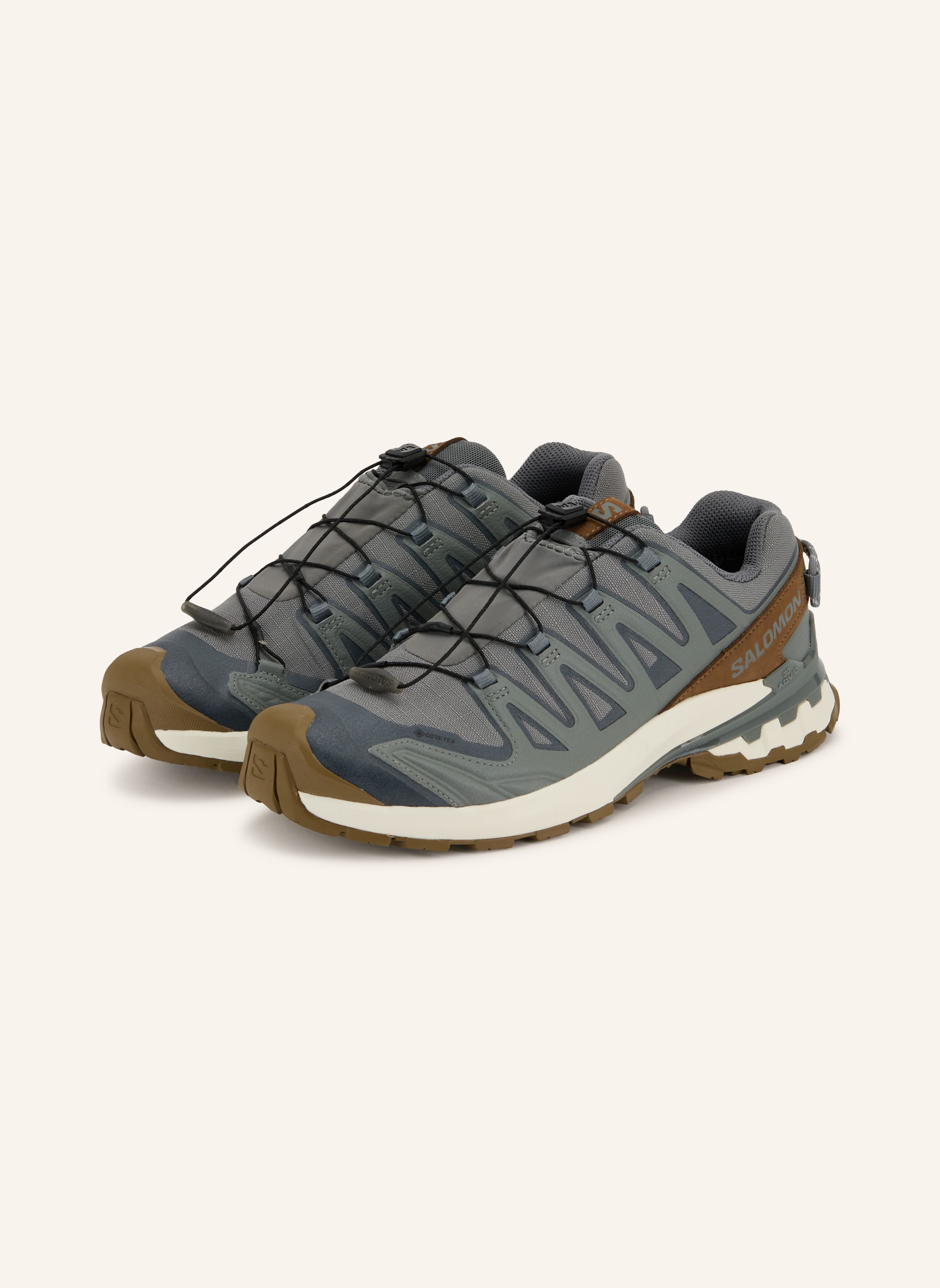 Salomon Trailrunning-Schuhe Xa Pro 3d v9 Gx Lifelong braun