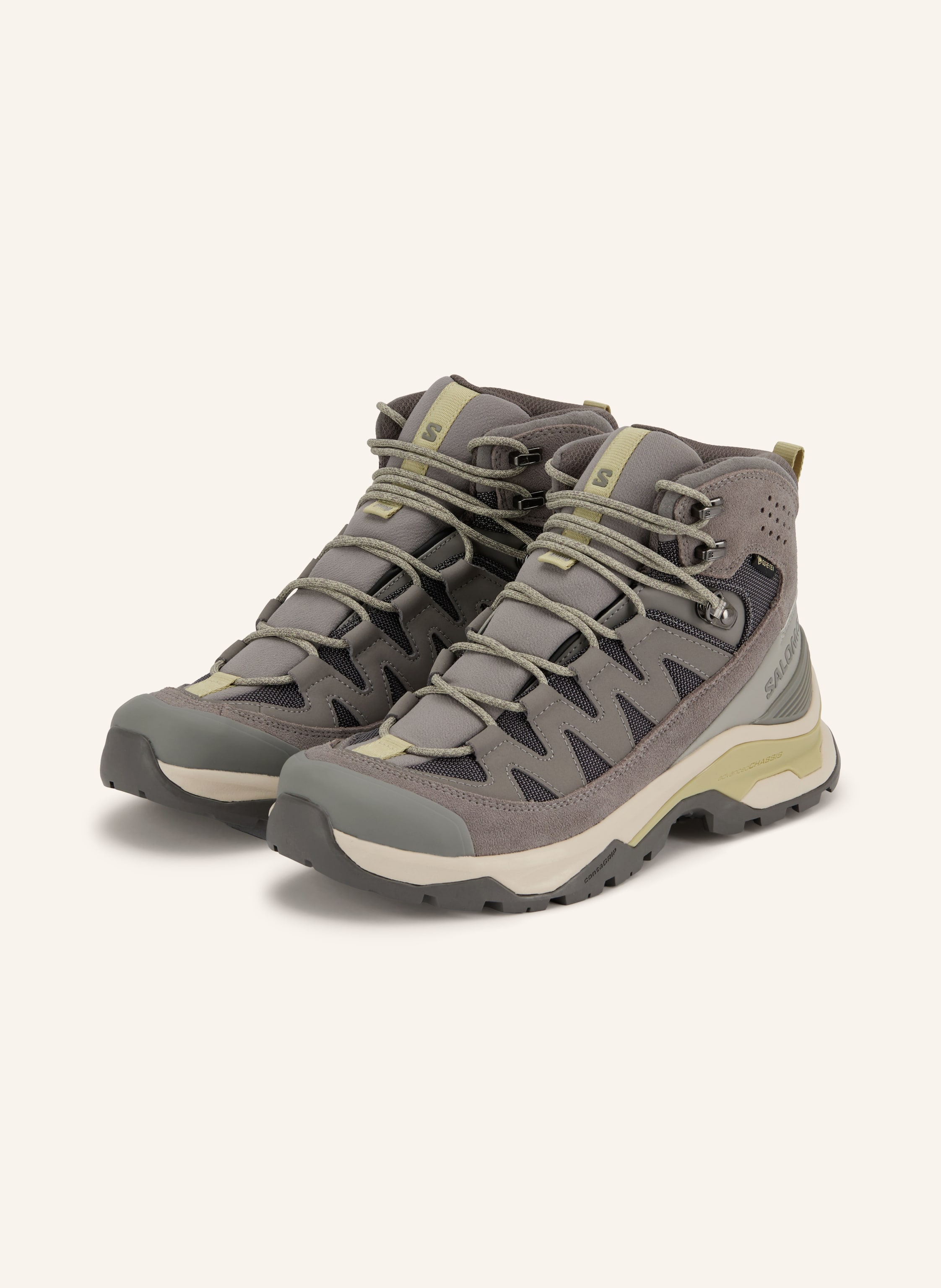 Salomon Wanderschuhe Quest Echo Gtx grau