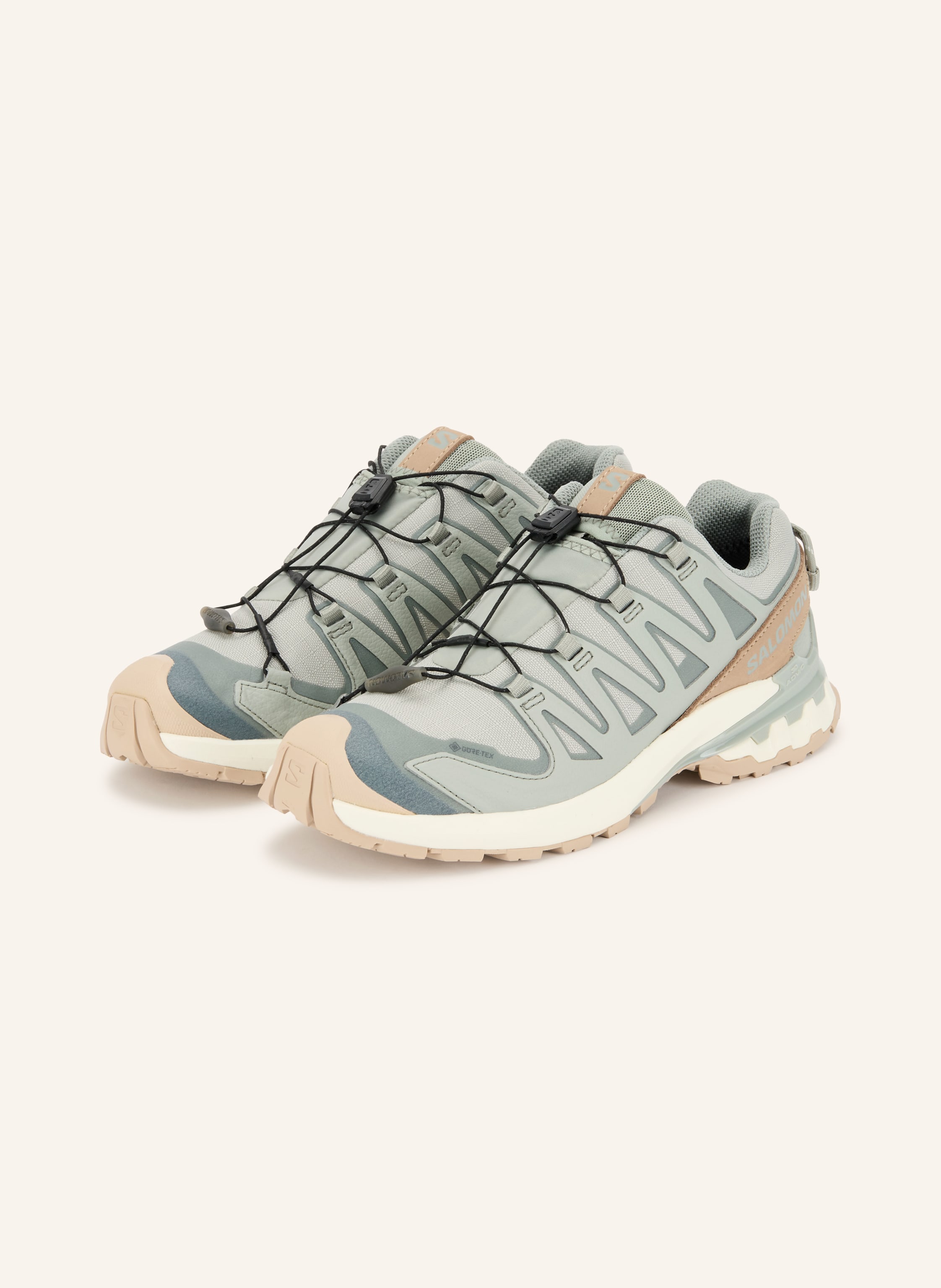 Salomon Trailrunning-Schuhe  Xa Pro 3d v9 Gtx Lifelong beige