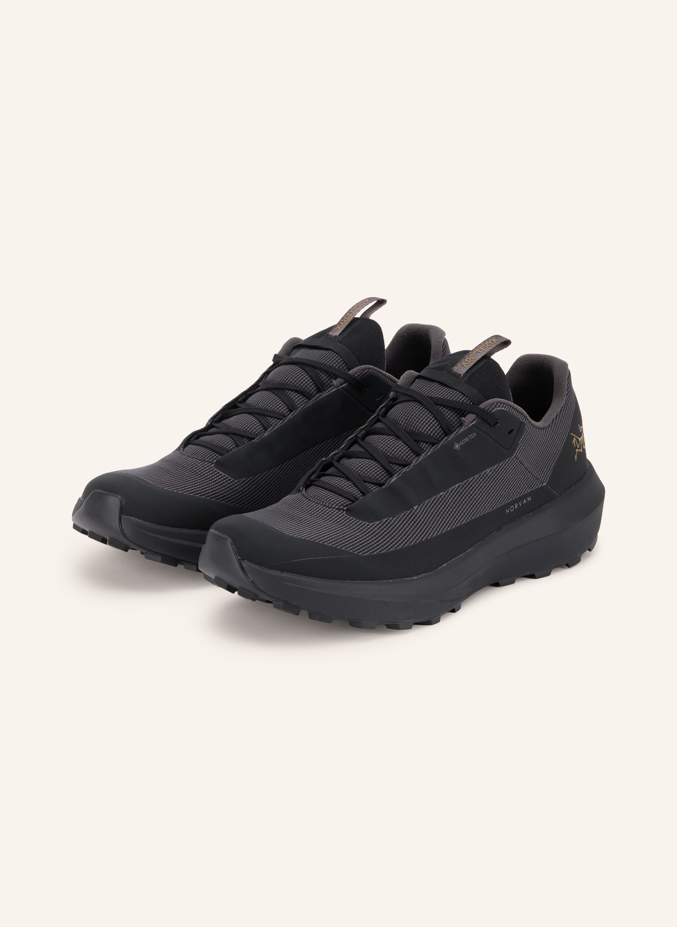 Arc'teryx Trailrunning-Schuhe Norvan Ld 4 Gtx schwarz