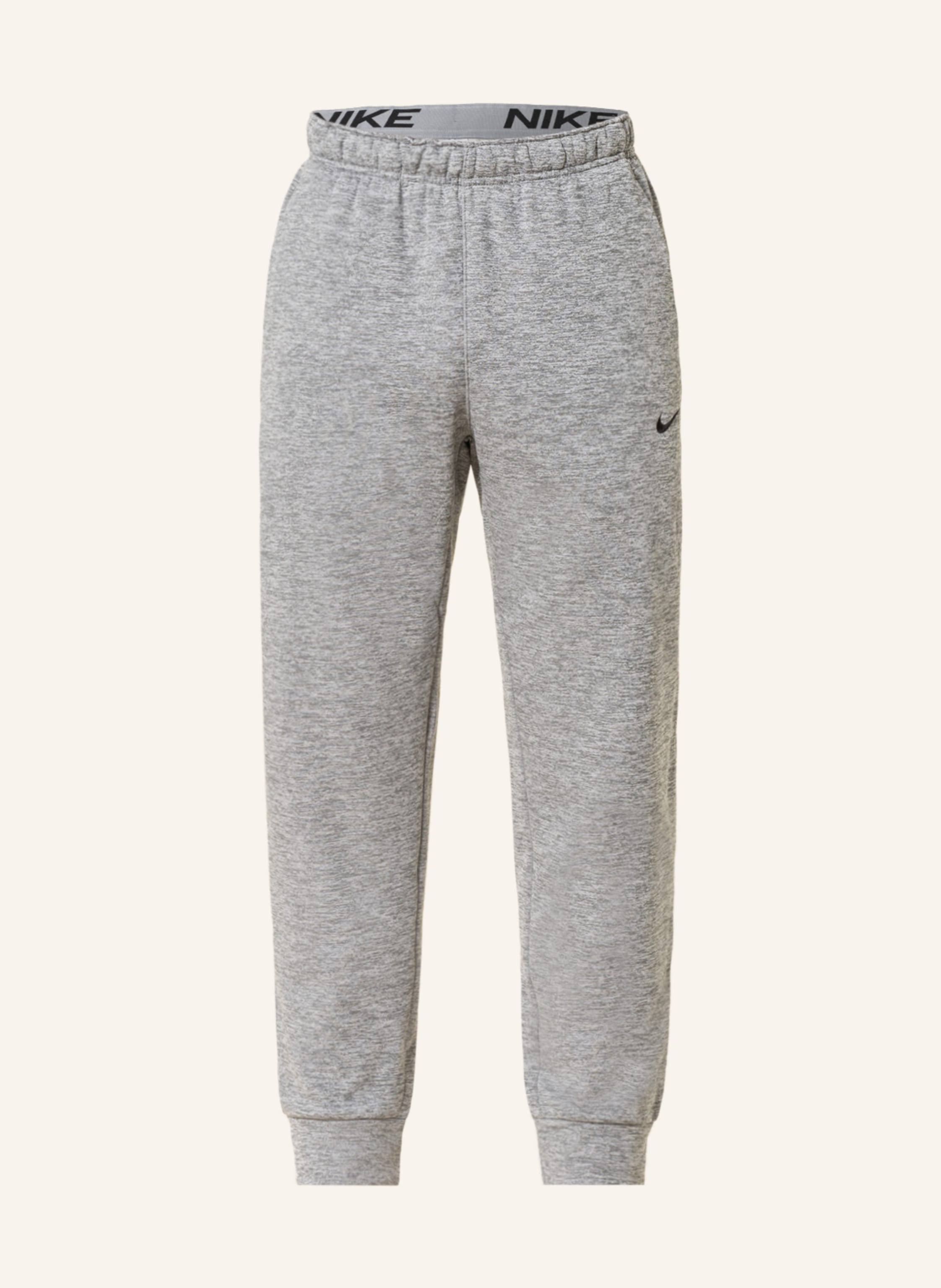 Nike Sweatpants THERMA-FIT in gray