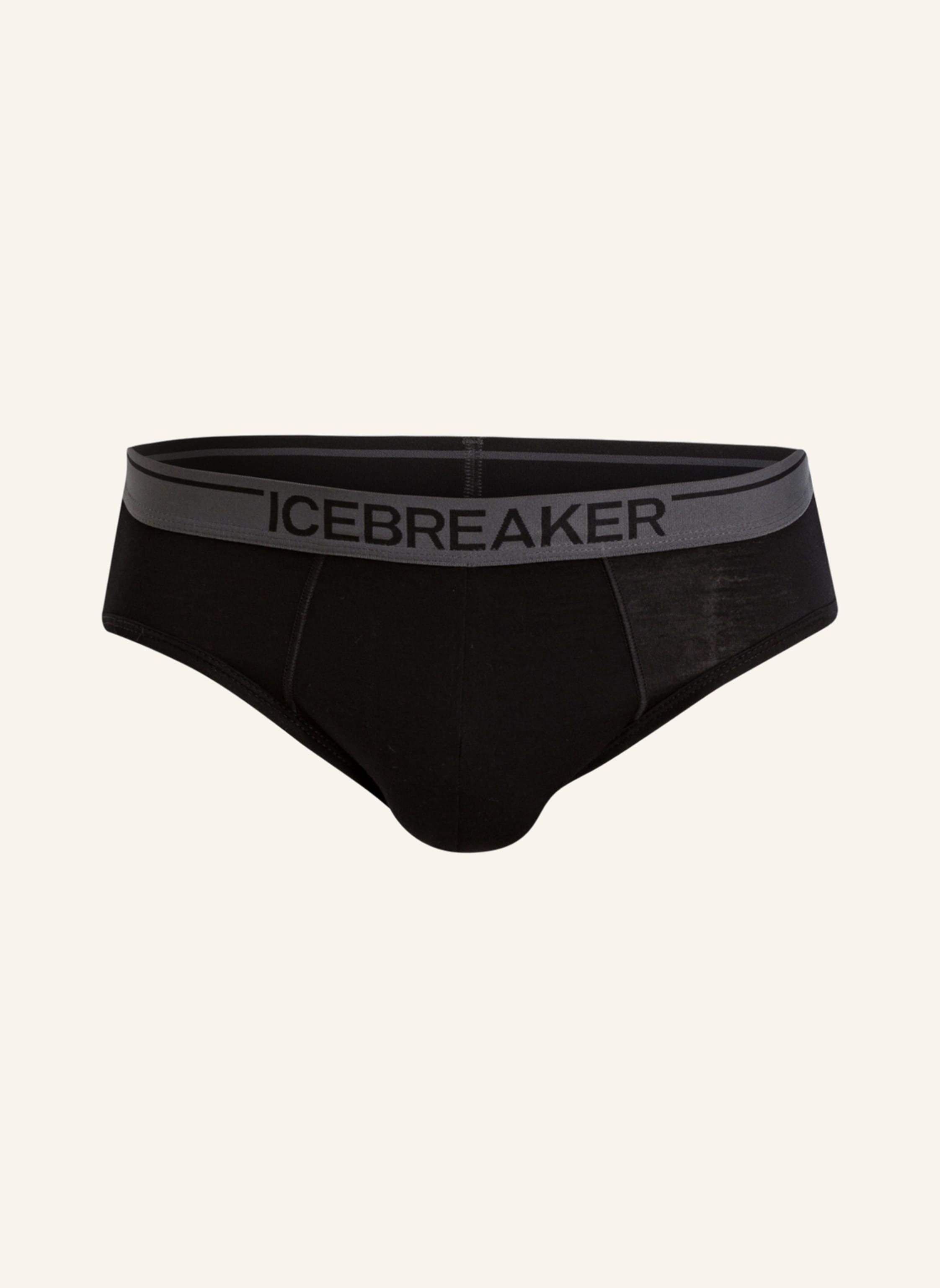 icebreaker Functional underwear briefs ANATOMICA with merino wool in black