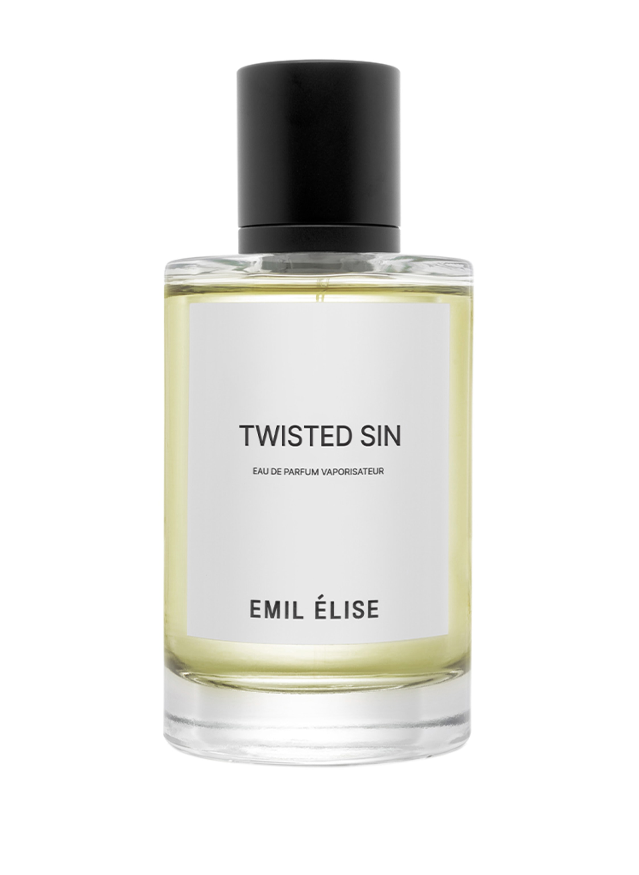emil elise twisted sin
