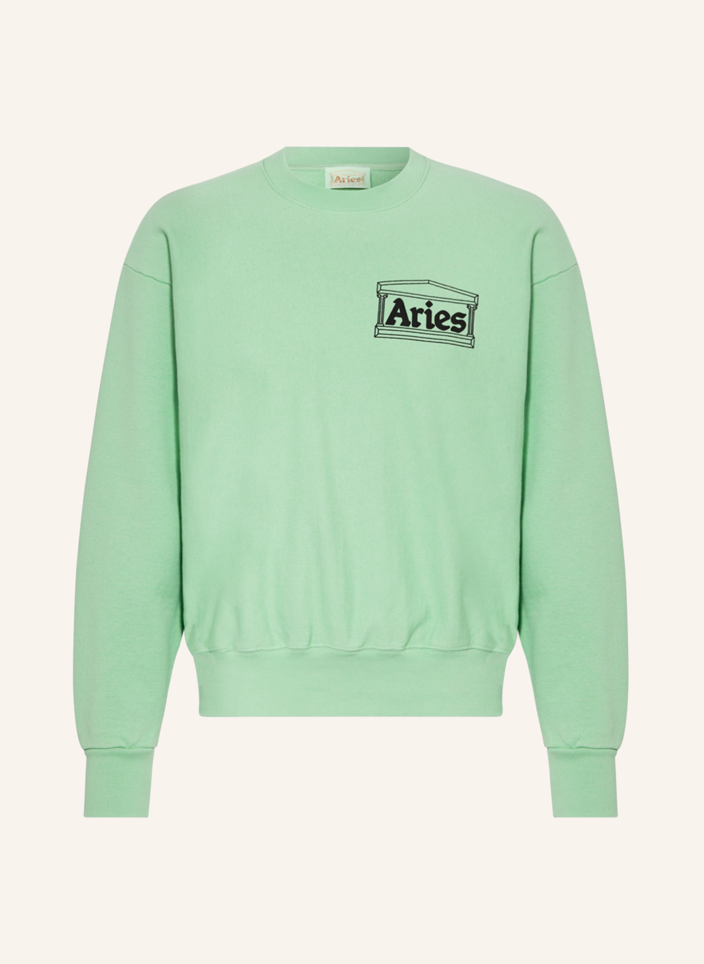 Aries Arise Sweatshirt in mint