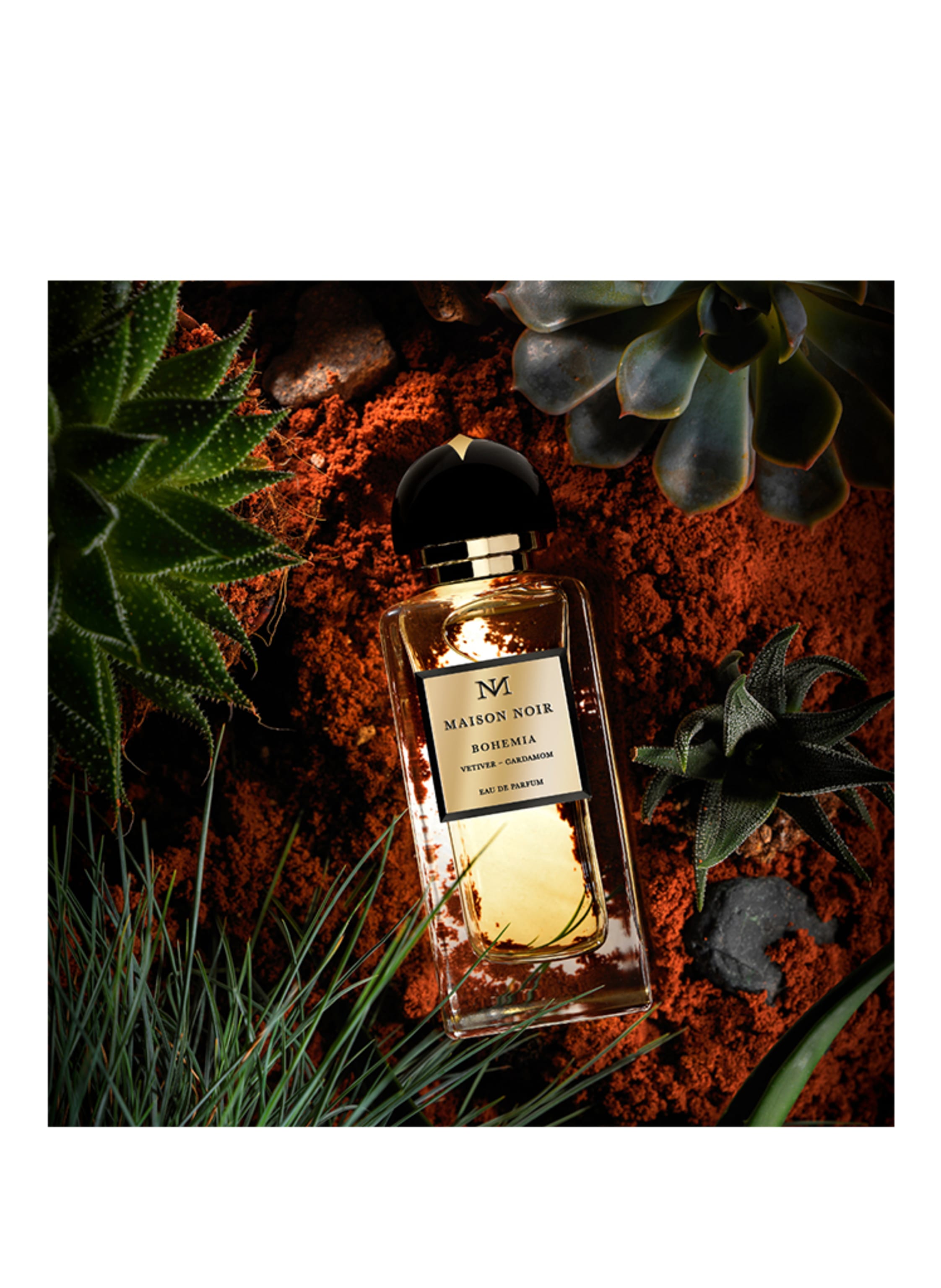 Thumbnail - Maison Noir Bohemia Eau de Parfum 100 ml