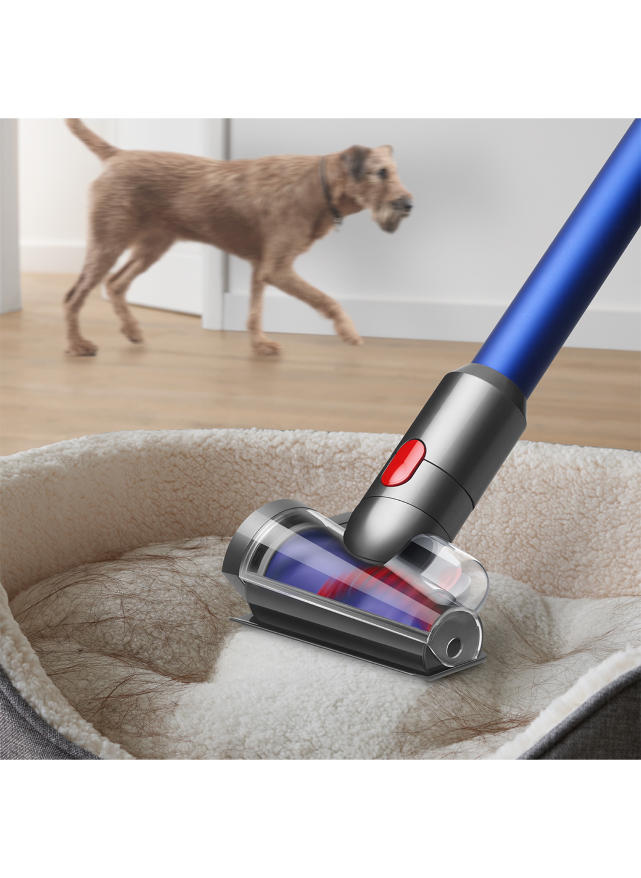 Thumbnail - Dyson Erweitertes Reinigungsset