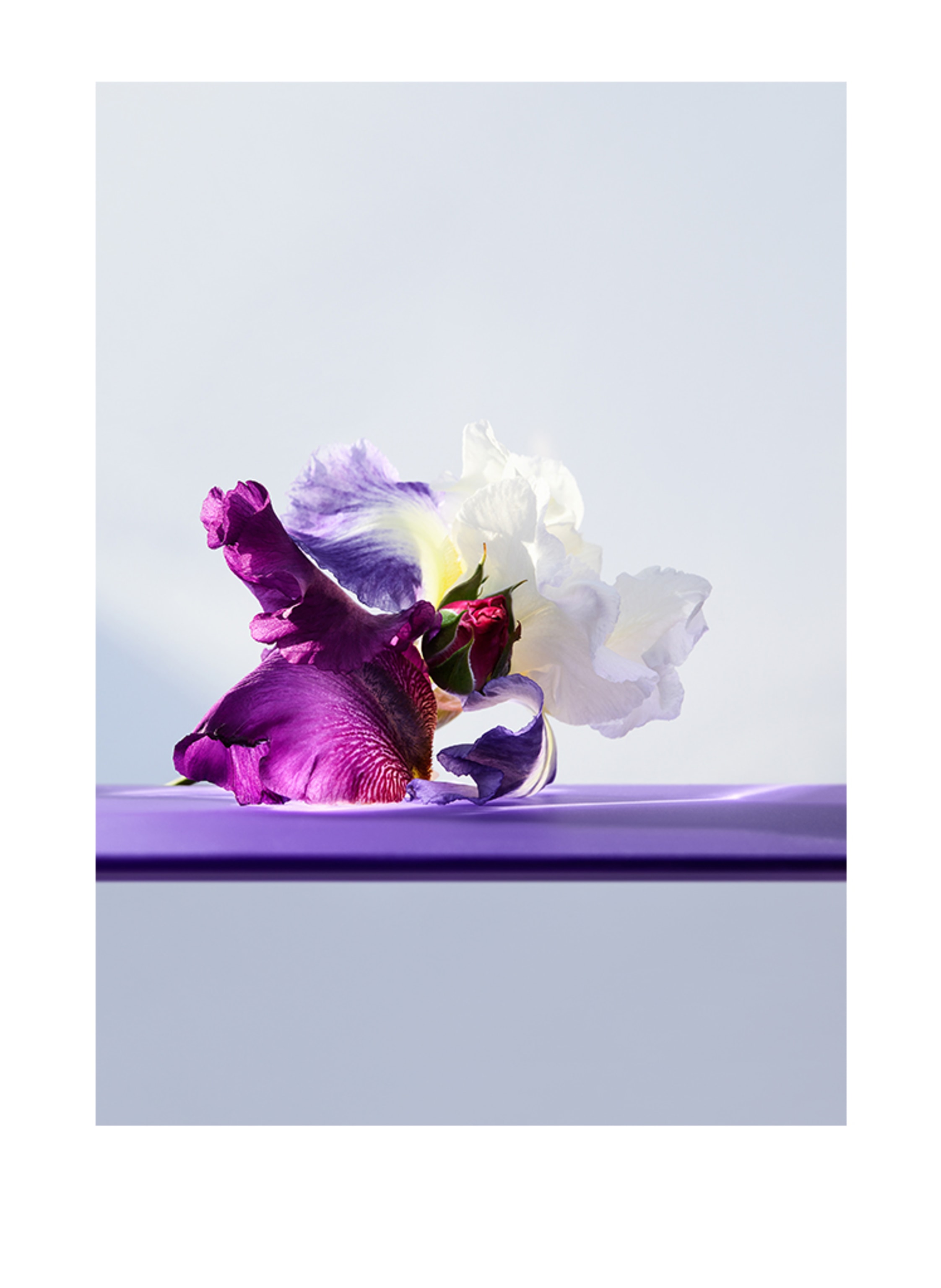 Thumbnail - Bvlgari Fragrances Omnia Amethyste Eau de Toilette 30 ml