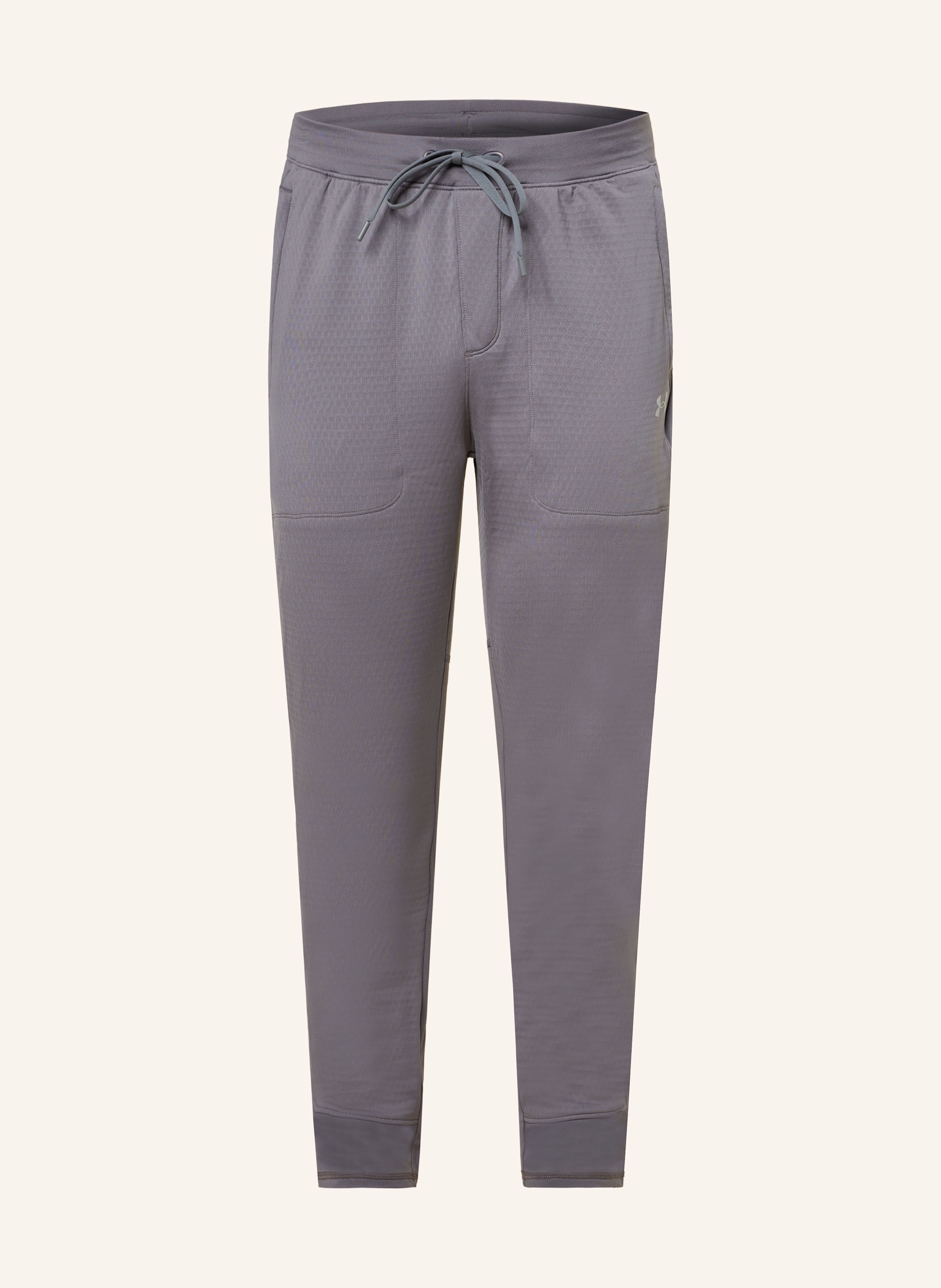 UNDER ARMOUR Trainingshose VANISH in grau