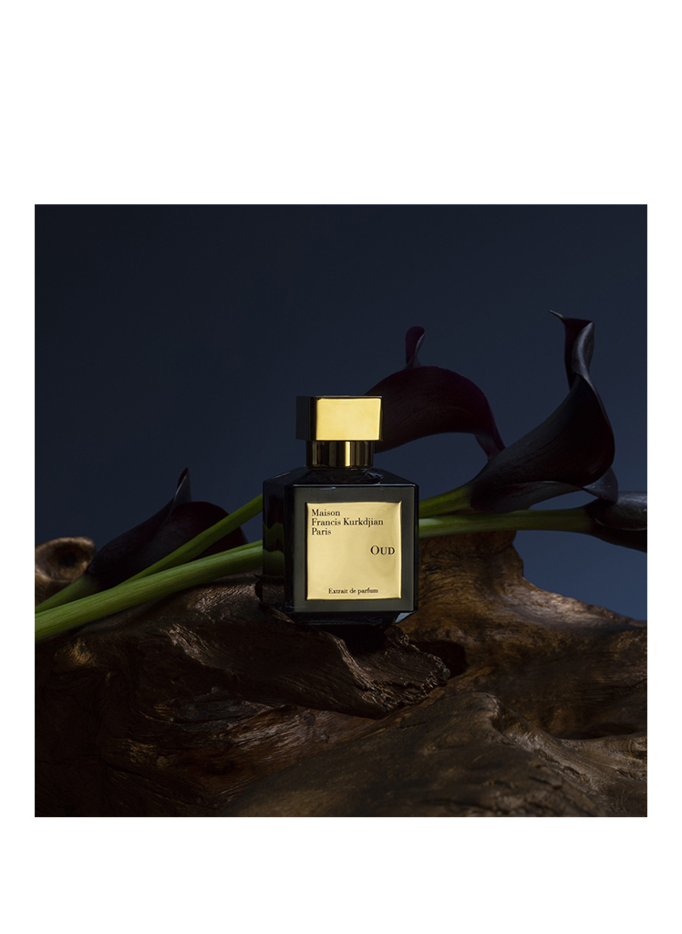 Thumbnail - Maison Francis Kurkdjian Oud Extrait de Parfum 70 ml