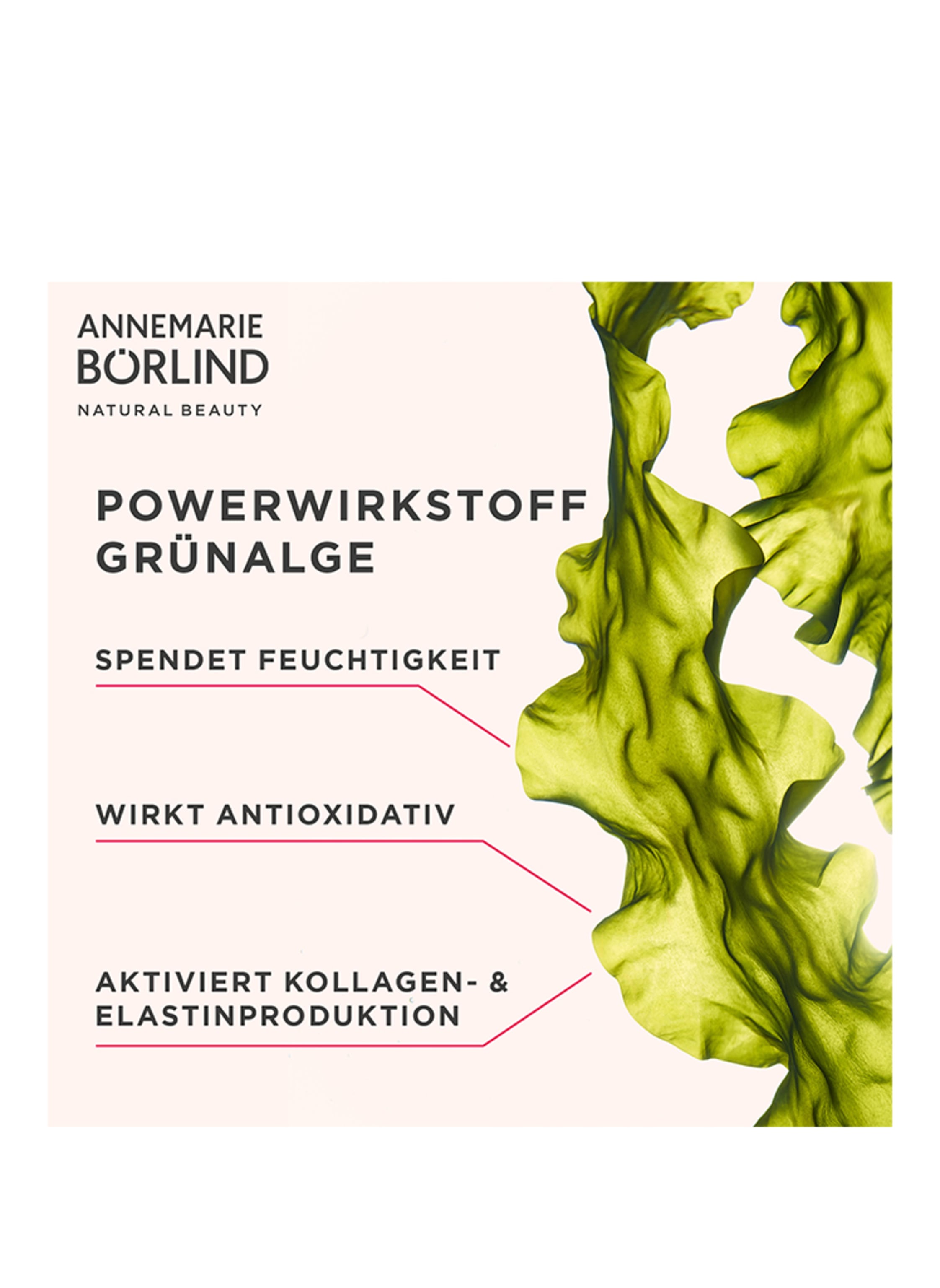 Thumbnail - Annemarie Börlind System Absolute Glättende Tagescreme 50 ml