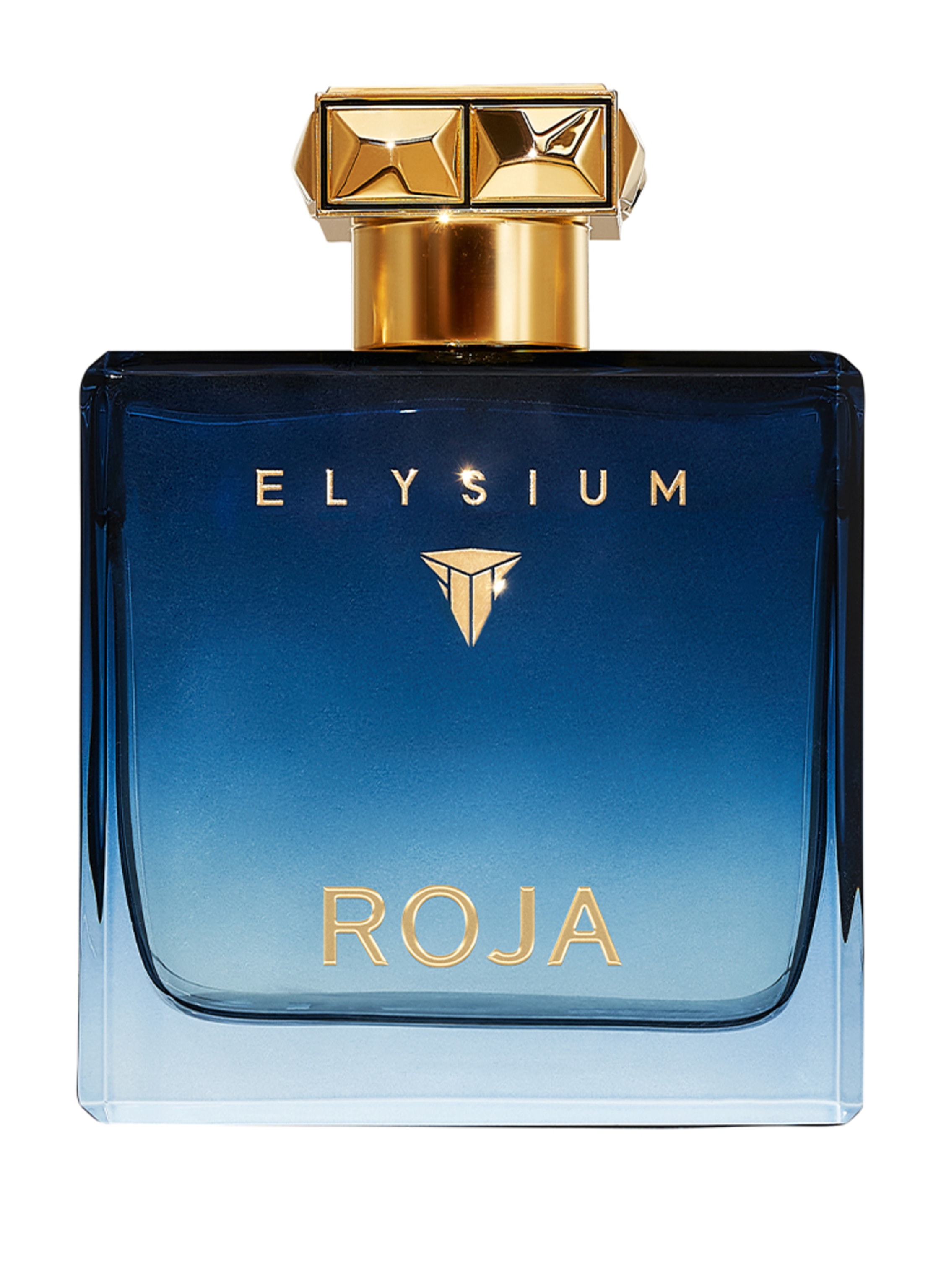 Roja London Roja London Elysium Pour Homme Eau de Parfum 100 ml