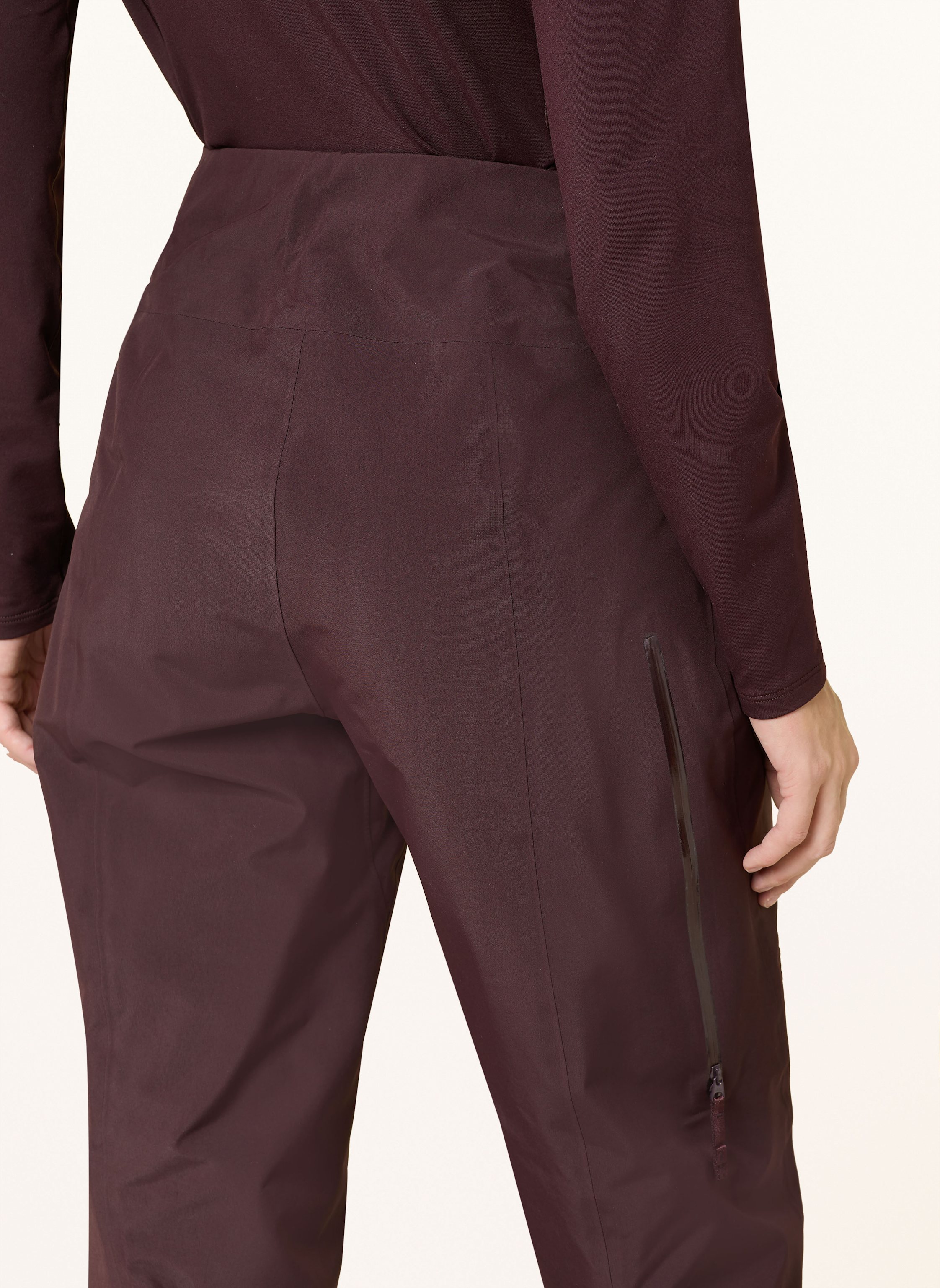 Thumbnail - Arc'teryx Hardshell-Skihose Nita rot