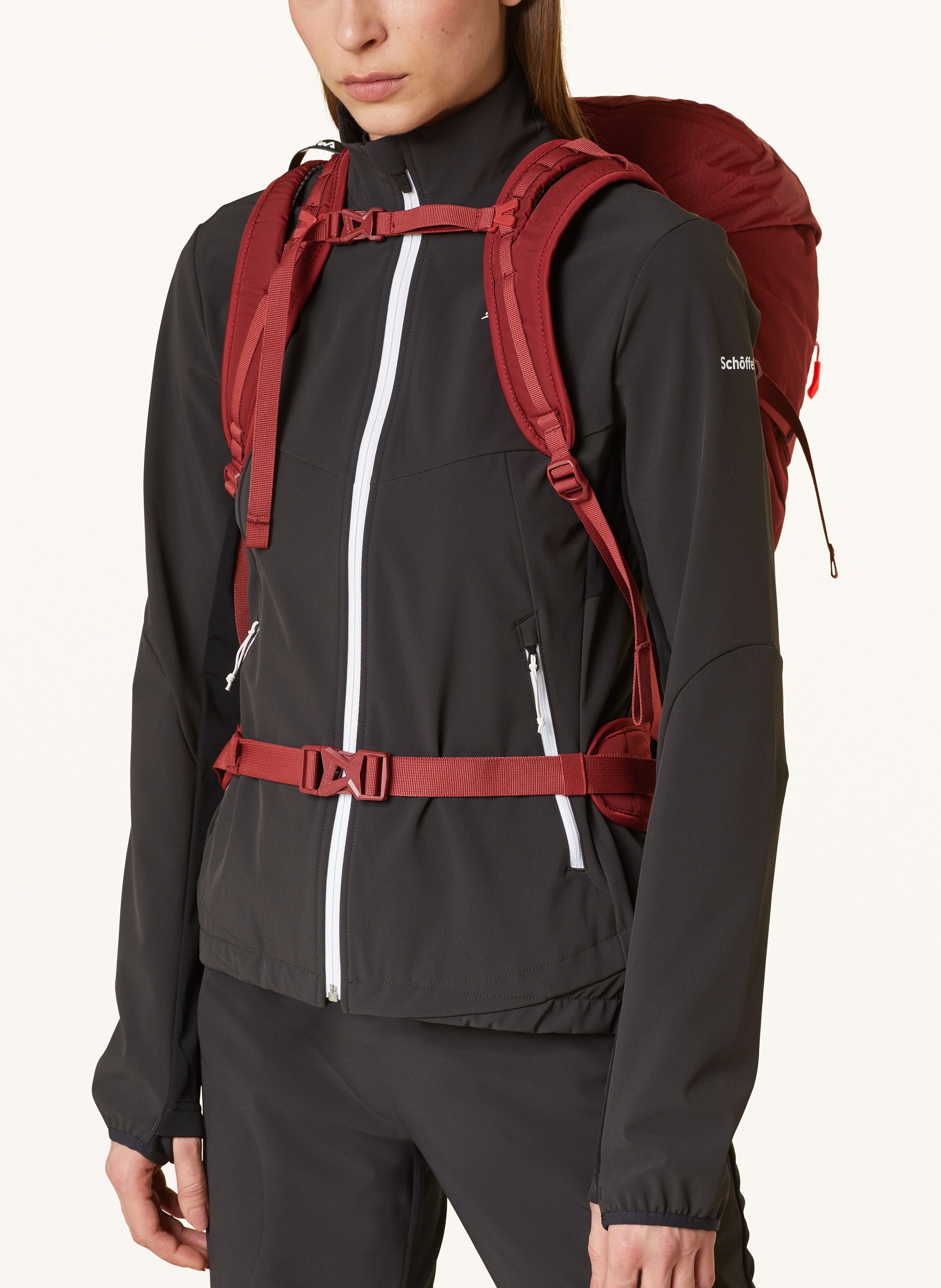Thumbnail - Salewa Rucksack Alp Mate 30 L rot