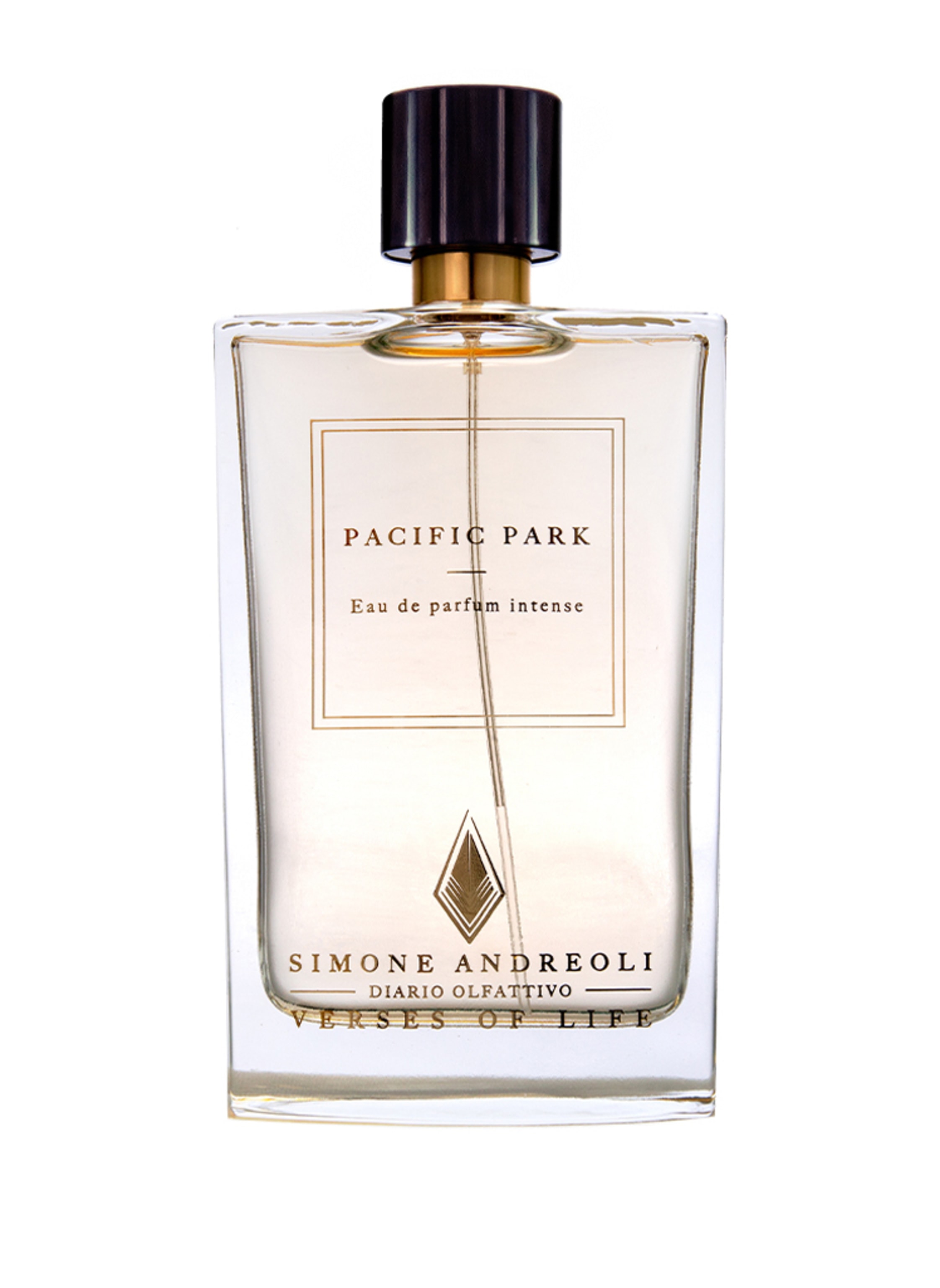 SIMONE ANDREOLI Simone Andreoli Pacific Park Eau de Parfum Intense 100 ml