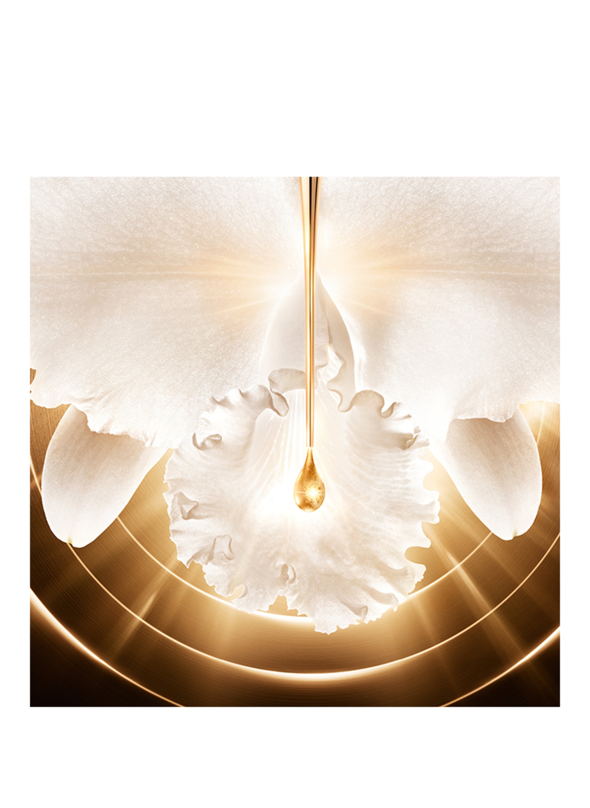 Thumbnail - Guerlain Orchidée Impériale Gold Nobile Creme Refill Gesichtscreme 50 ml