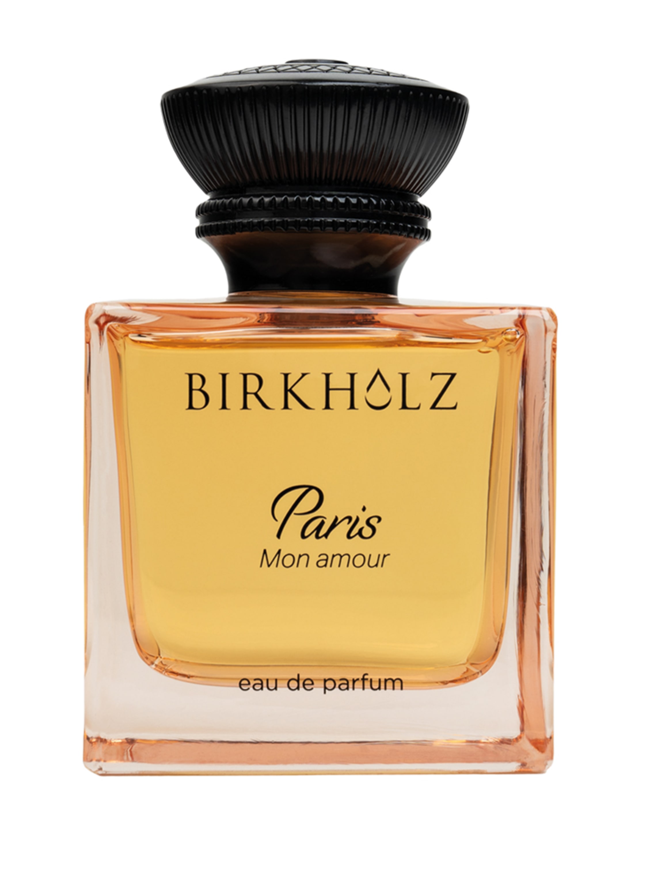 birkholz paris - mon amour