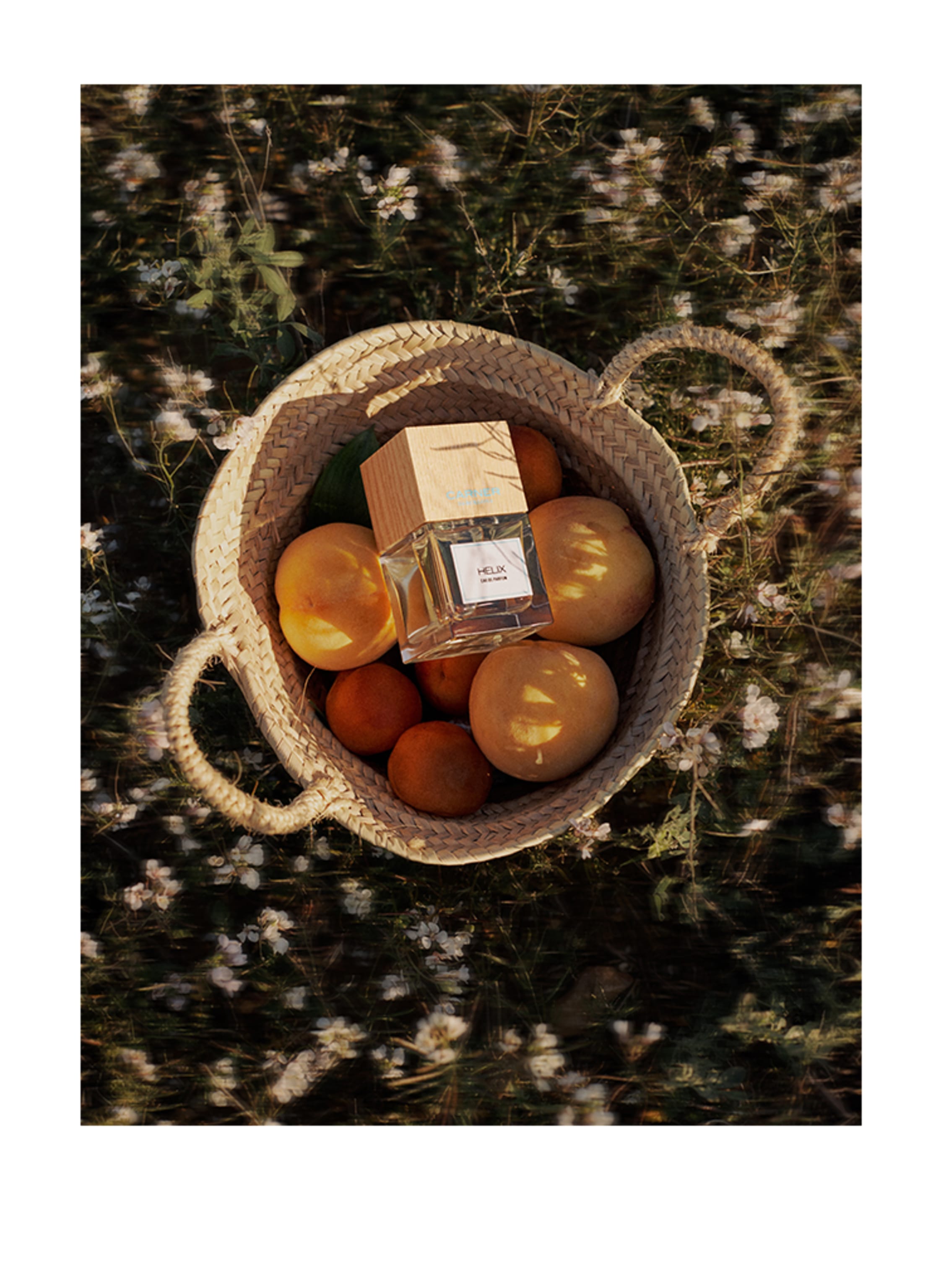 Thumbnail - Carner Barcelona Helix Eau de Parfum 100 ml