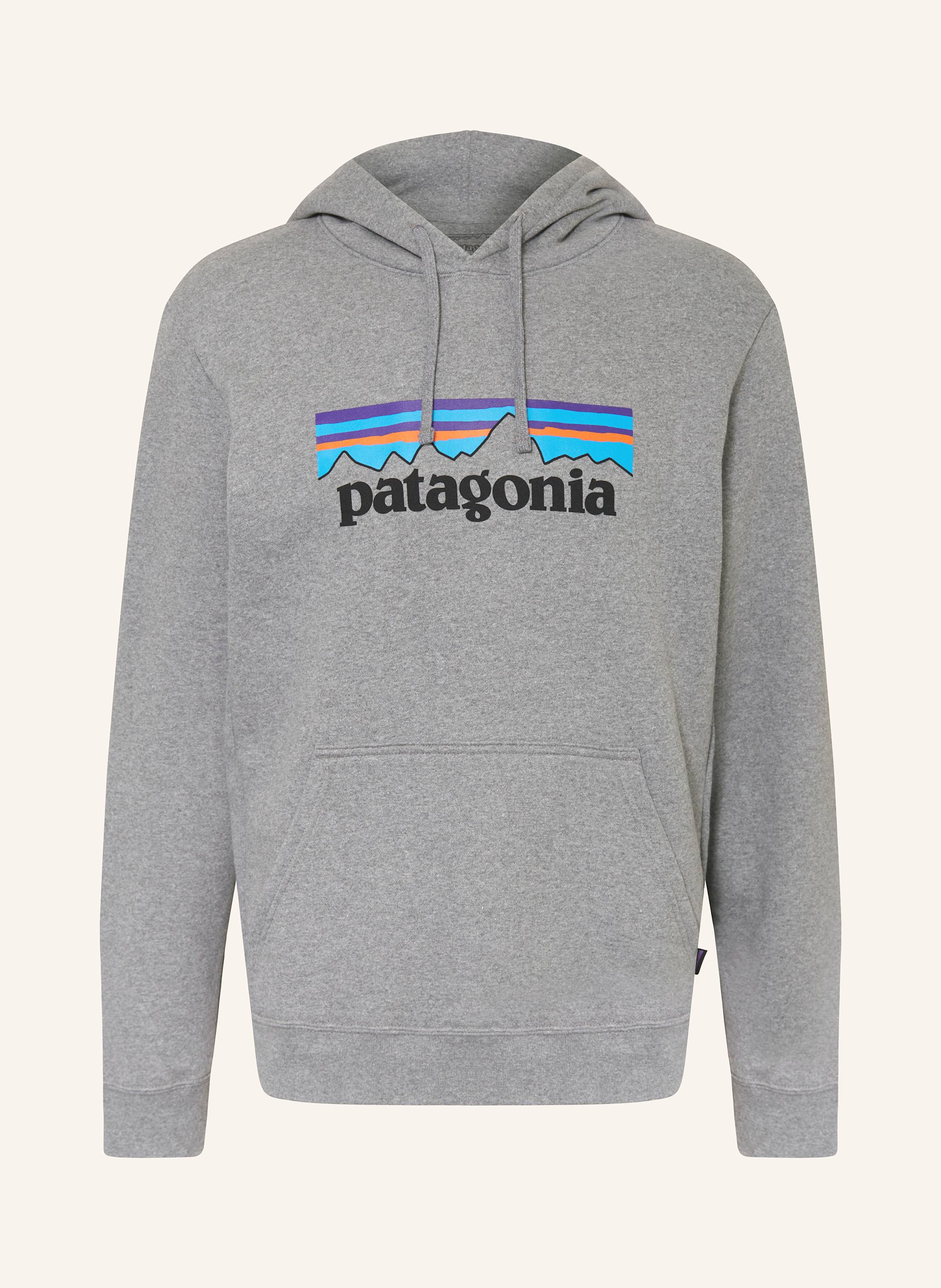Patagonia Hoodie P-6 grau