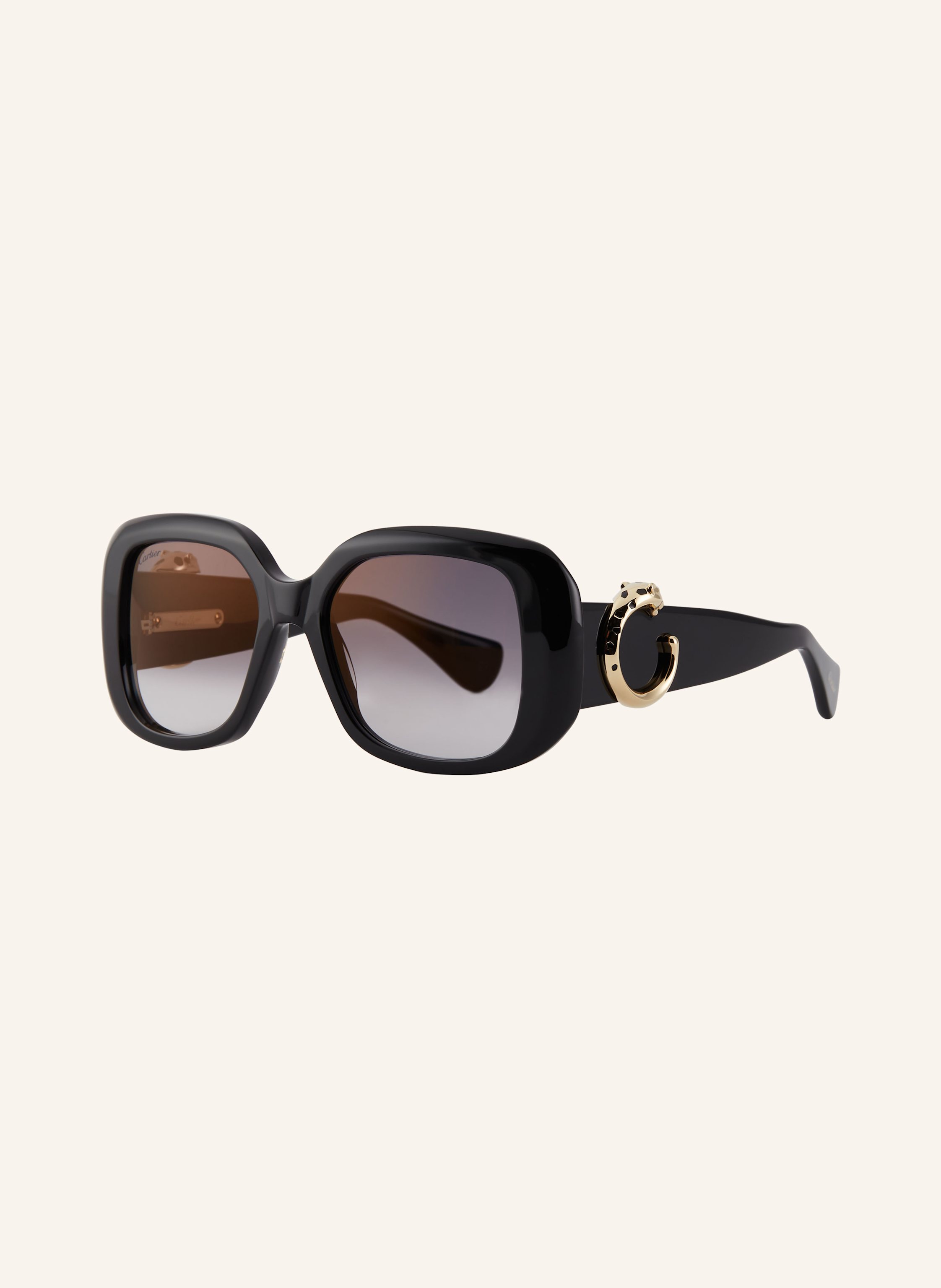 Cartier Cartier Sonnenbrille 6L001731 schwarz in 1100L1 - SCHWARZ
