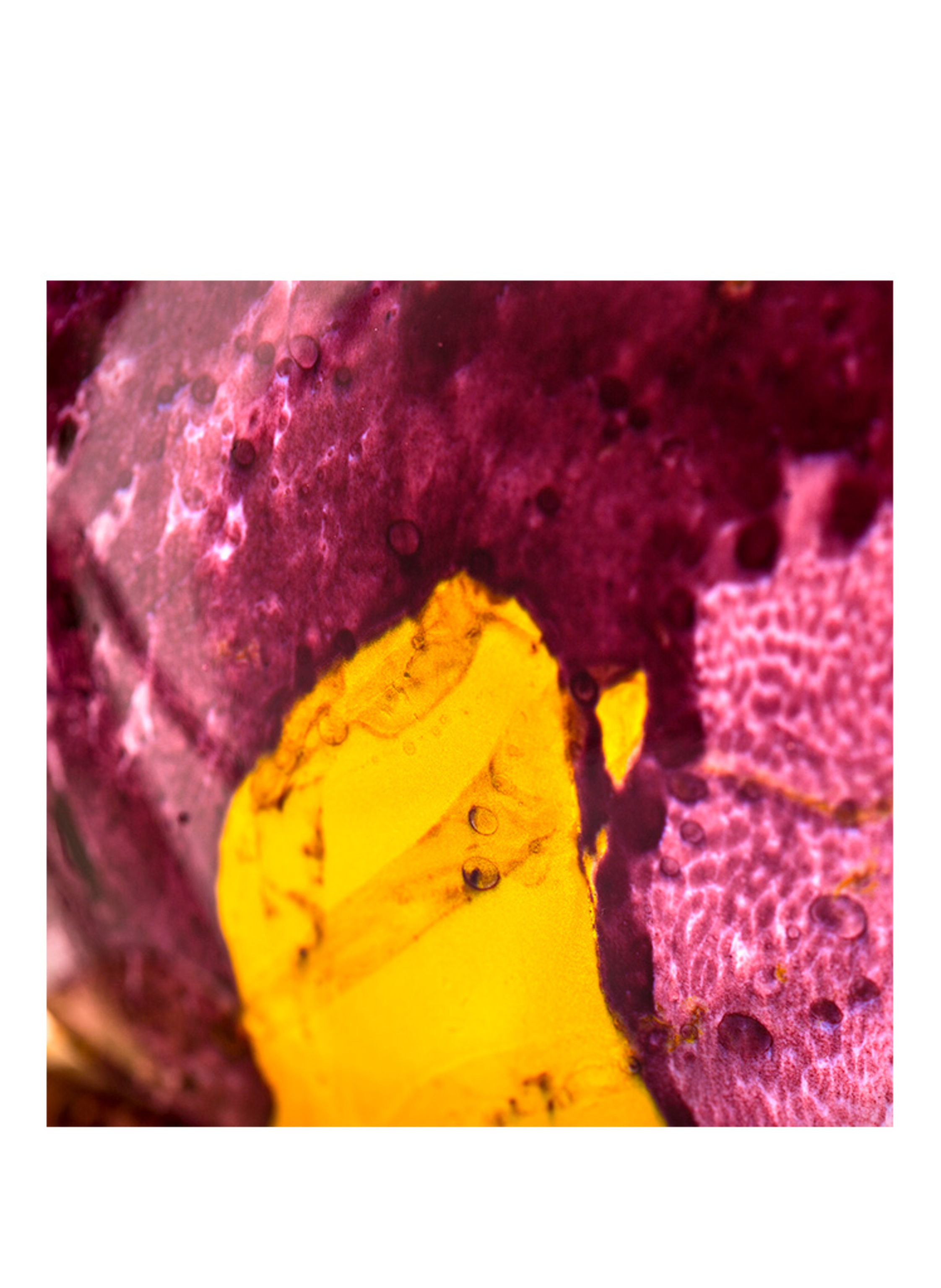 Thumbnail - The House Of Oud Grape Pearls Eau de Parfum 75 ml