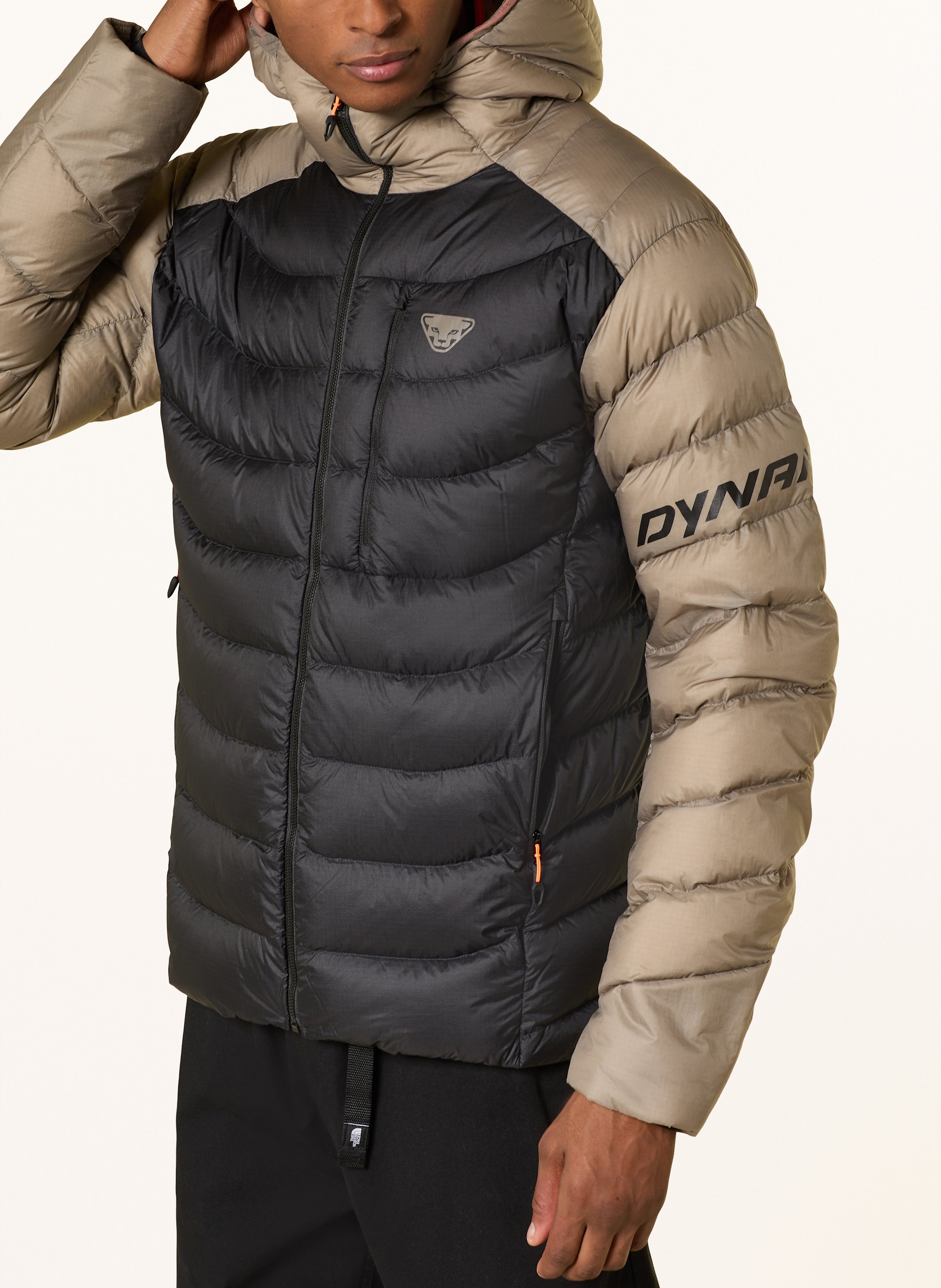 Thumbnail - Dynafit Daunenjacke Tigard Down Rds schwarz