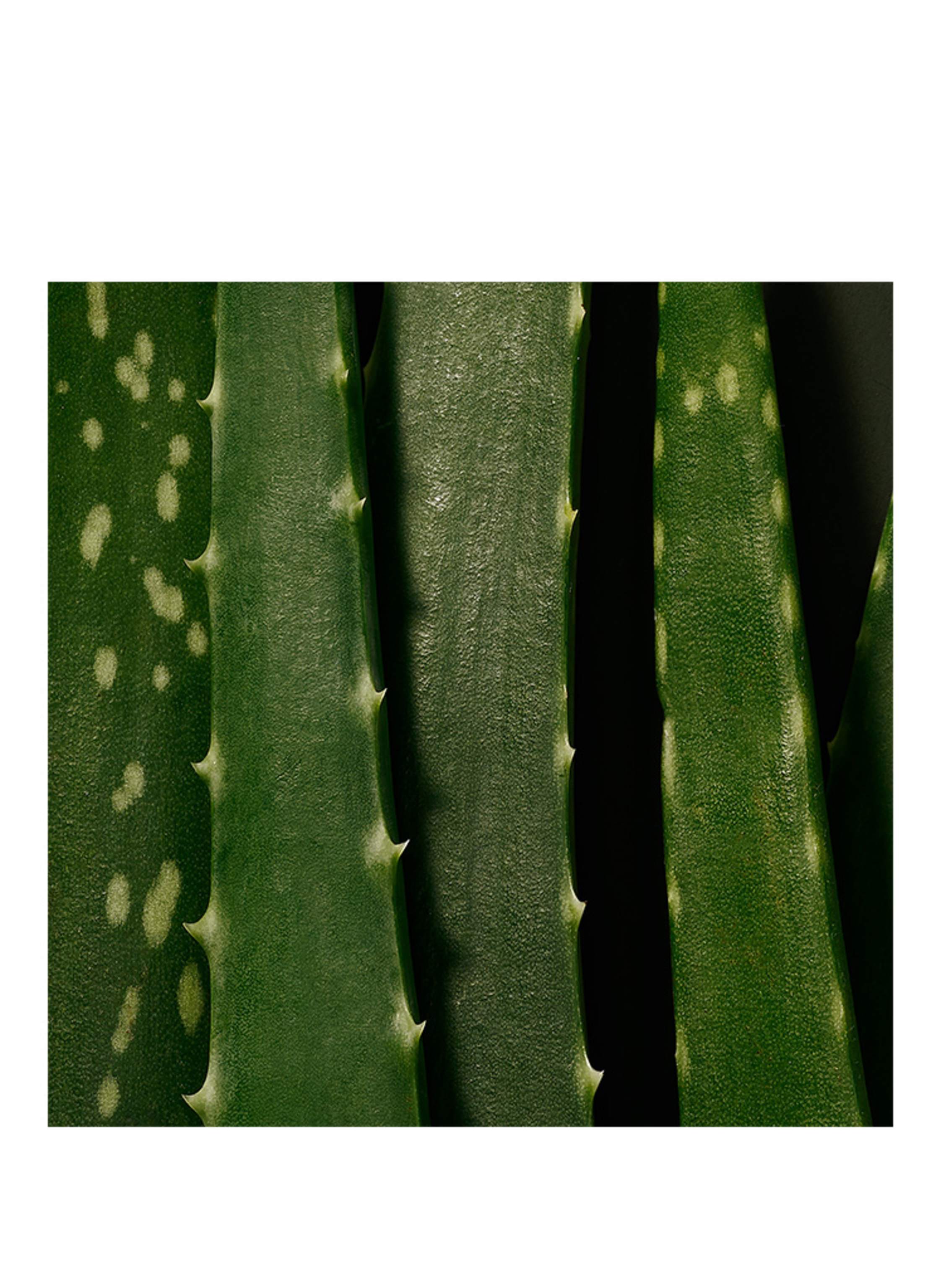 Thumbnail - Babor Doctor Babor Microbiomic - Moisture Glow Serum 30 ml