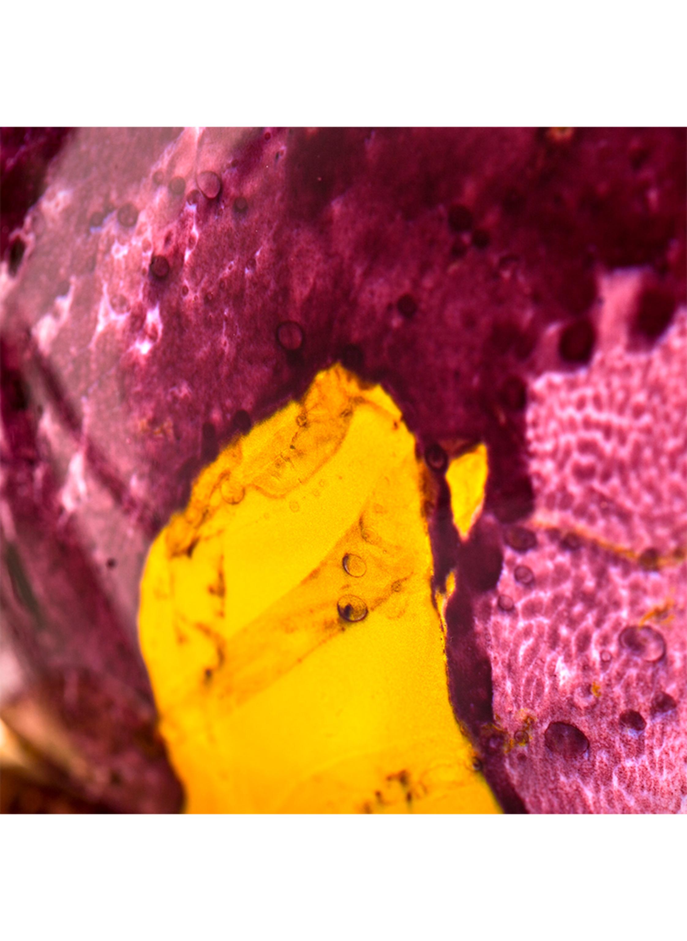 Thumbnail - Thoo Grape Pearls Eau de Parfum 75 ml