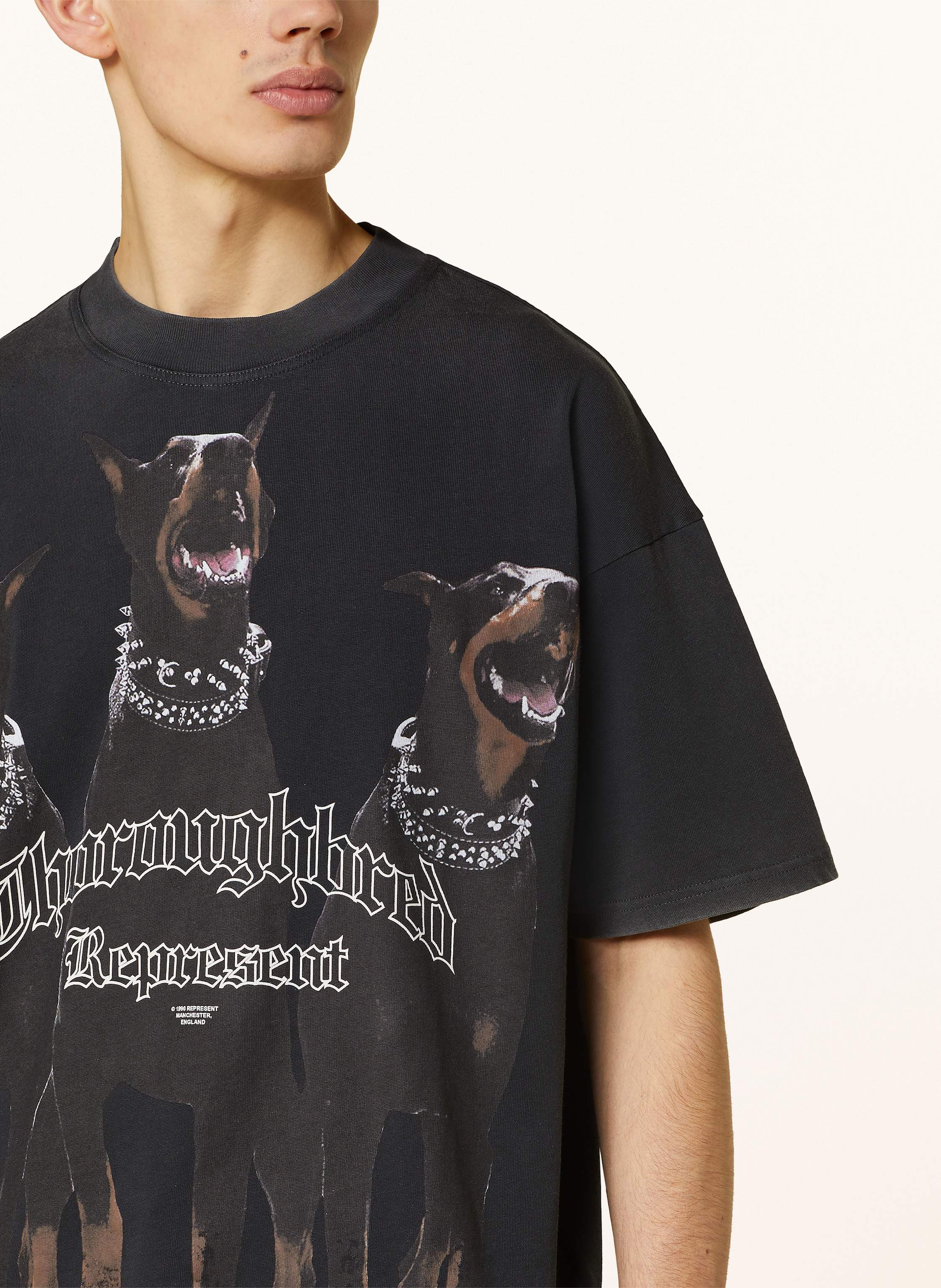 Thumbnail - Represent T-Shirt Thoroughbred schwarz