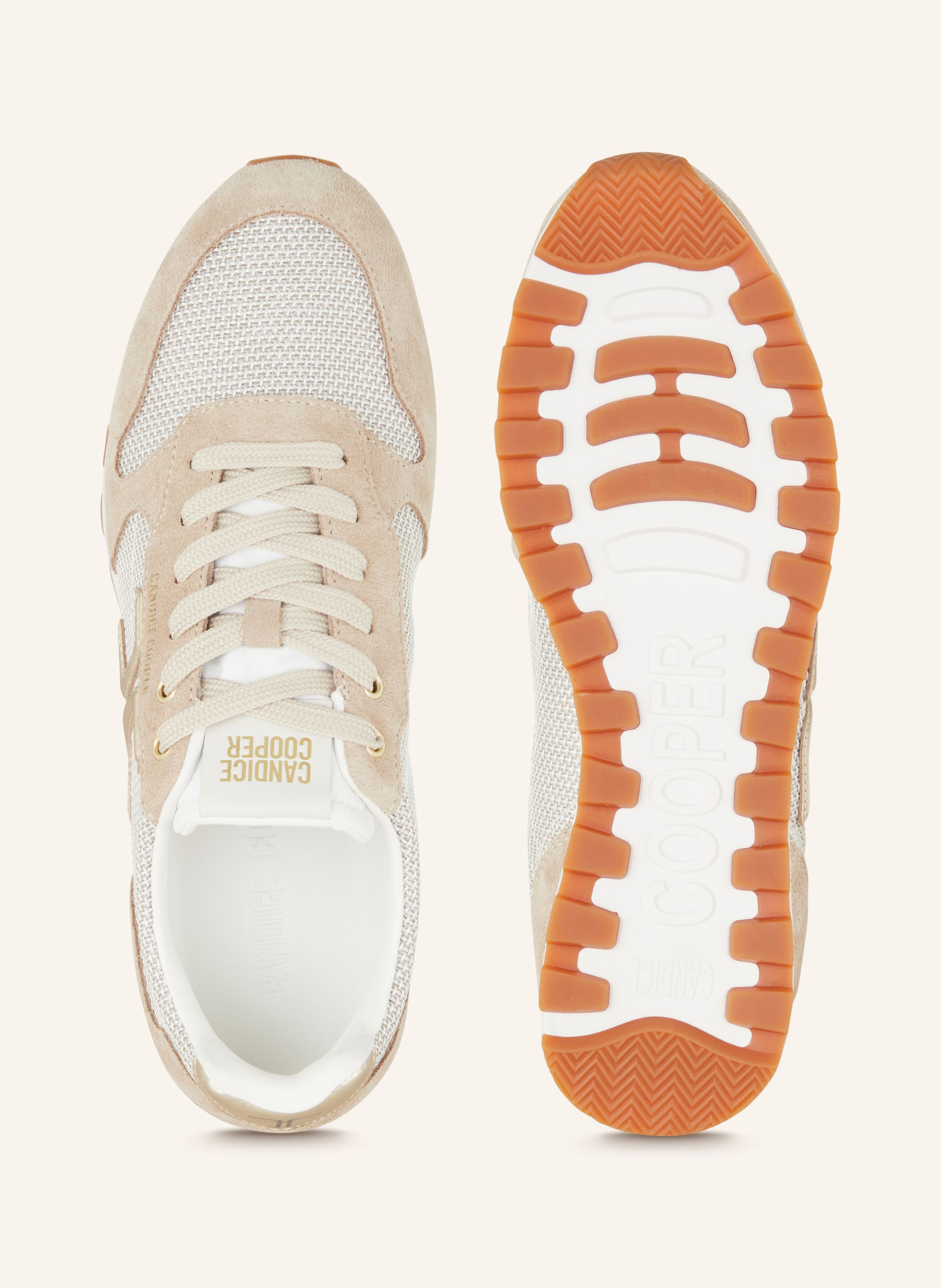 Thumbnail - Candice Cooper Sneaker Plume 3 Mit Glitzergarn beige