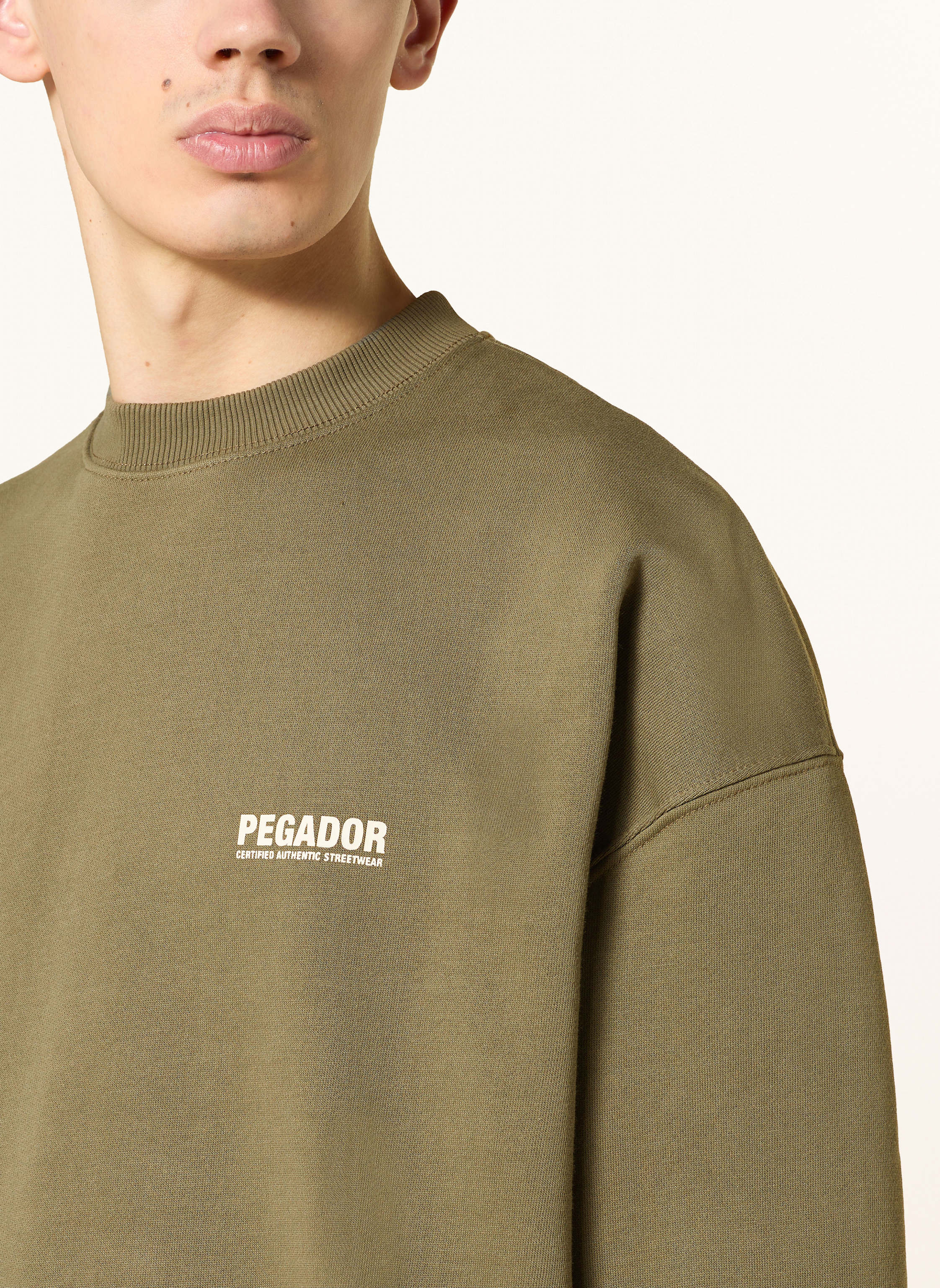 Thumbnail - Pegador Sweatshirt Clinton gruen