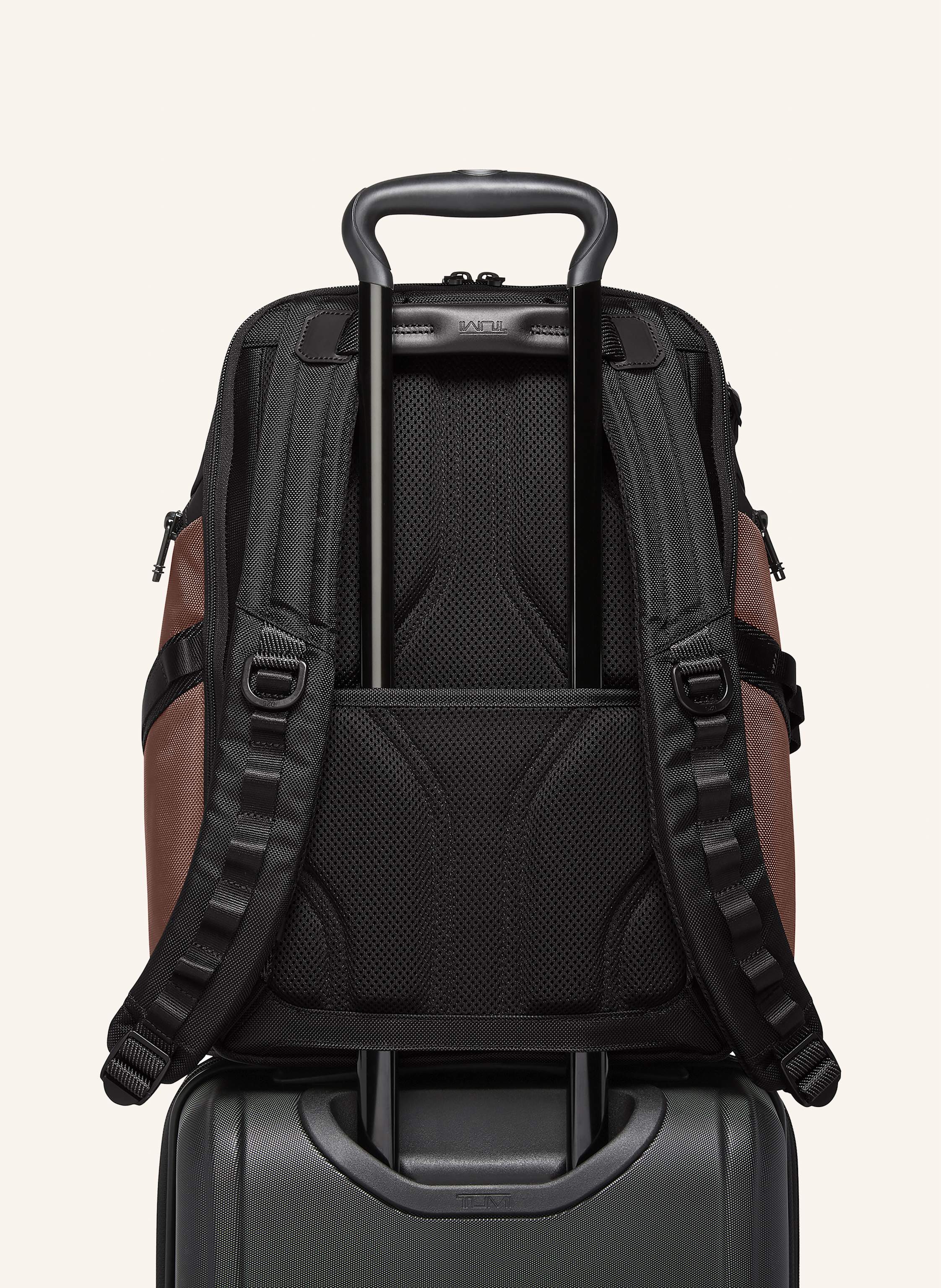 Thumbnail - Tumi Alpha Bravo Rucksack Search Backpack Mit Laptop-Fach schwarz