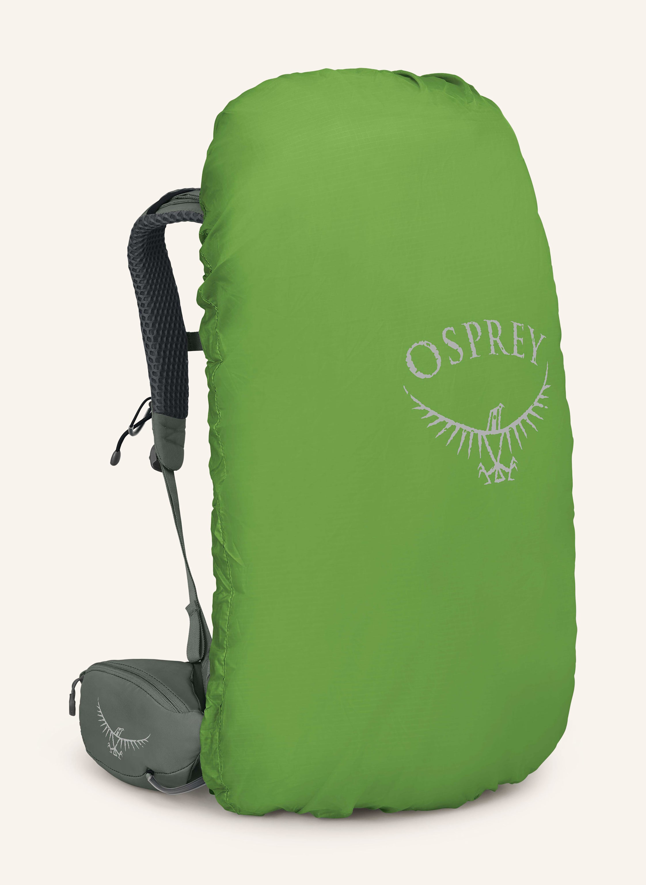Thumbnail - Osprey Rucksack Kyte™ 38 M/L 38 L gruen