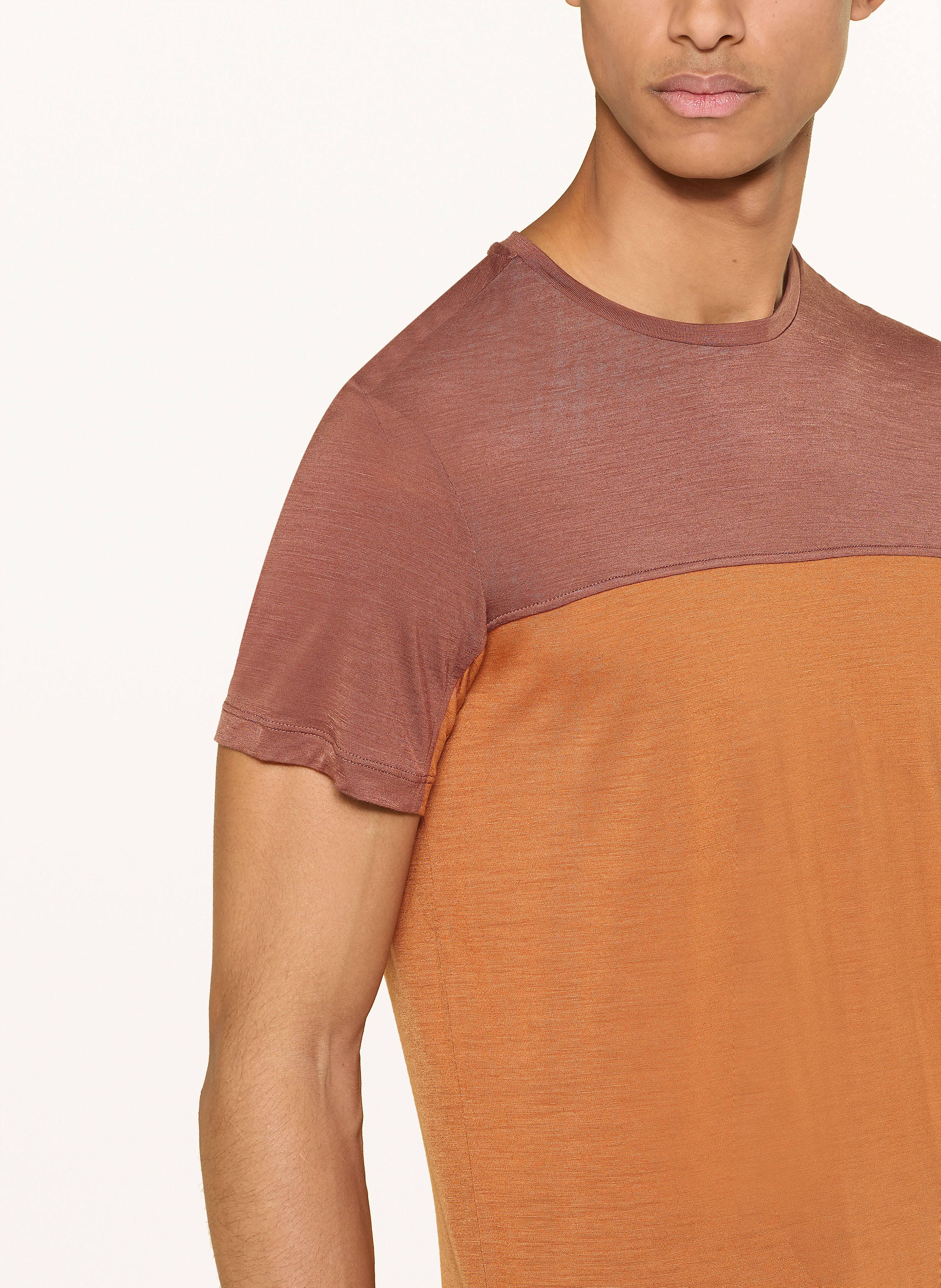 Thumbnail - Icebreaker T-Shirt 125 Cool-Lite™ Sphere Iii Mit Merinowolle braun